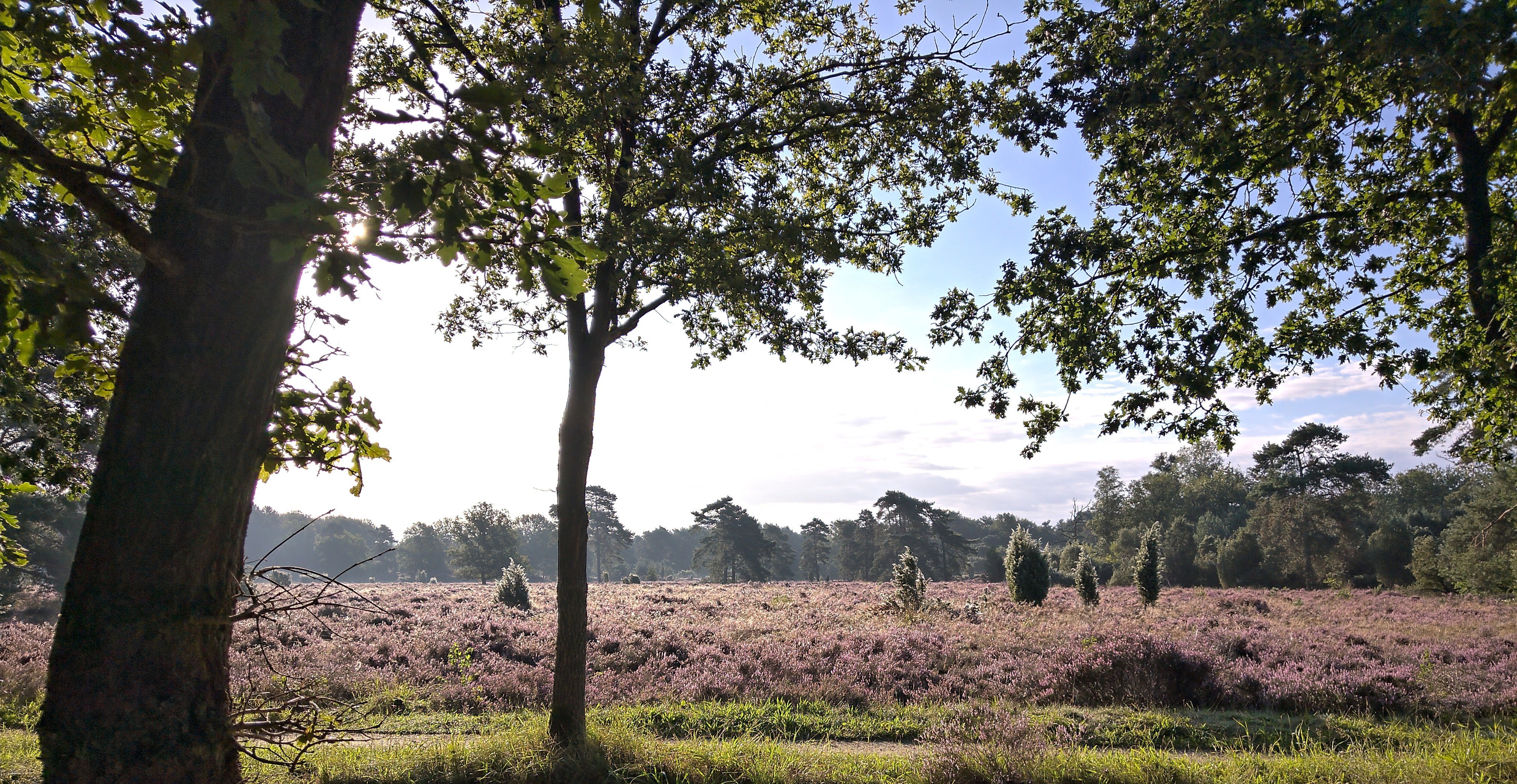 - image: 26