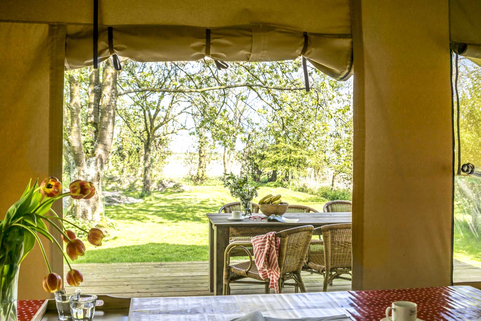 Maison nature à Graauw