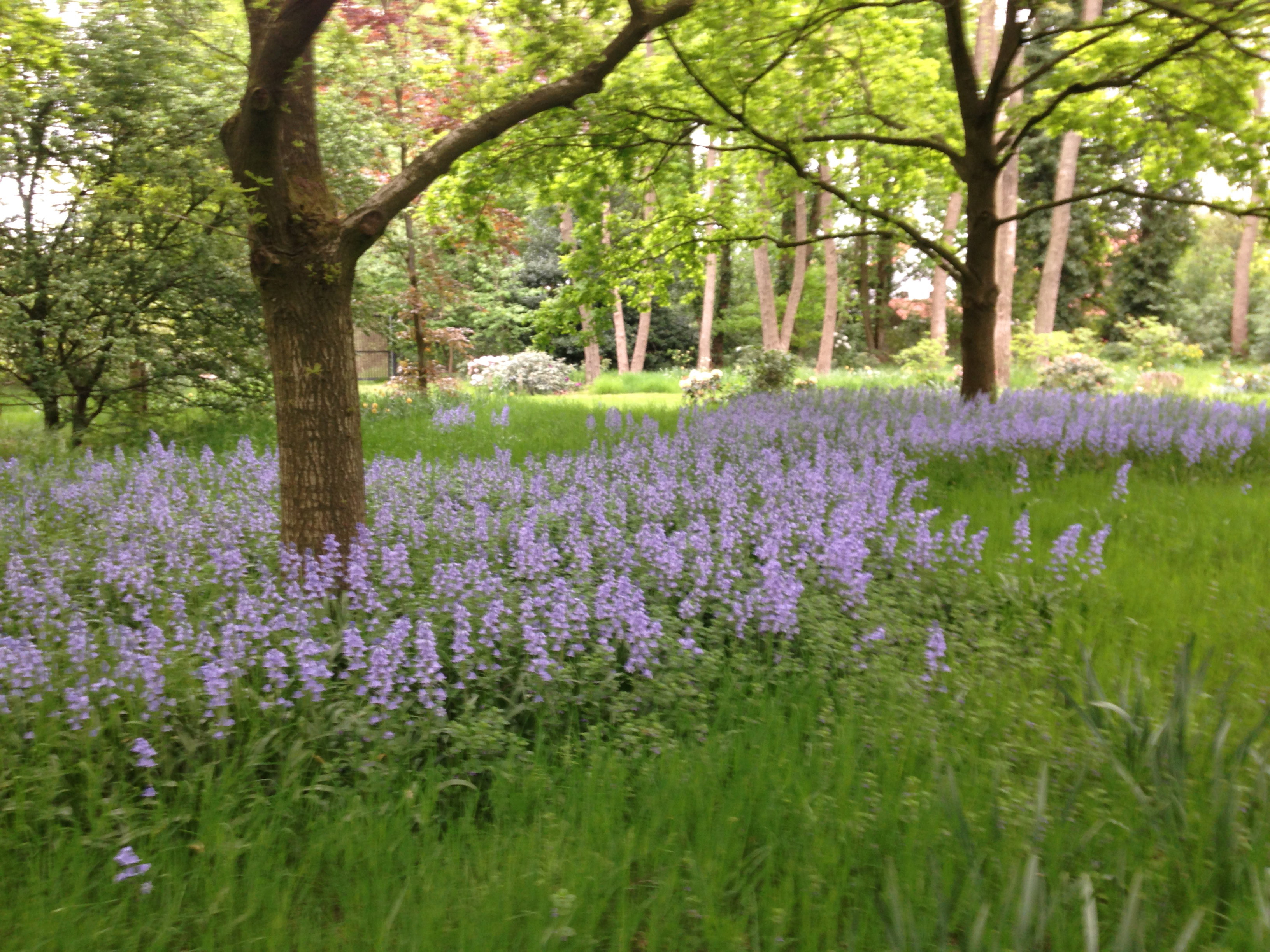 Nature house in Hollandsche Rading