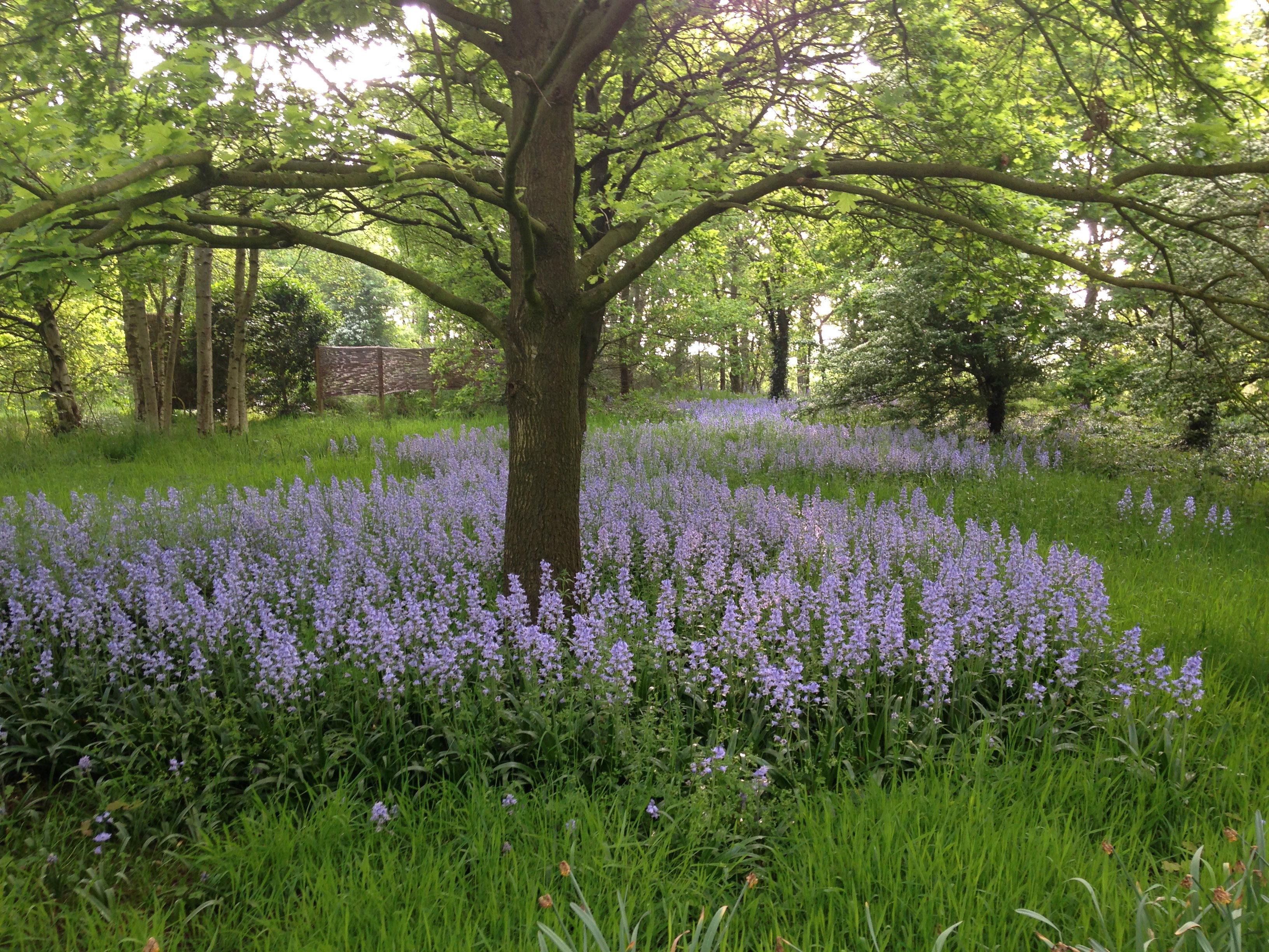 Naturhäuschen in Hollandsche Rading