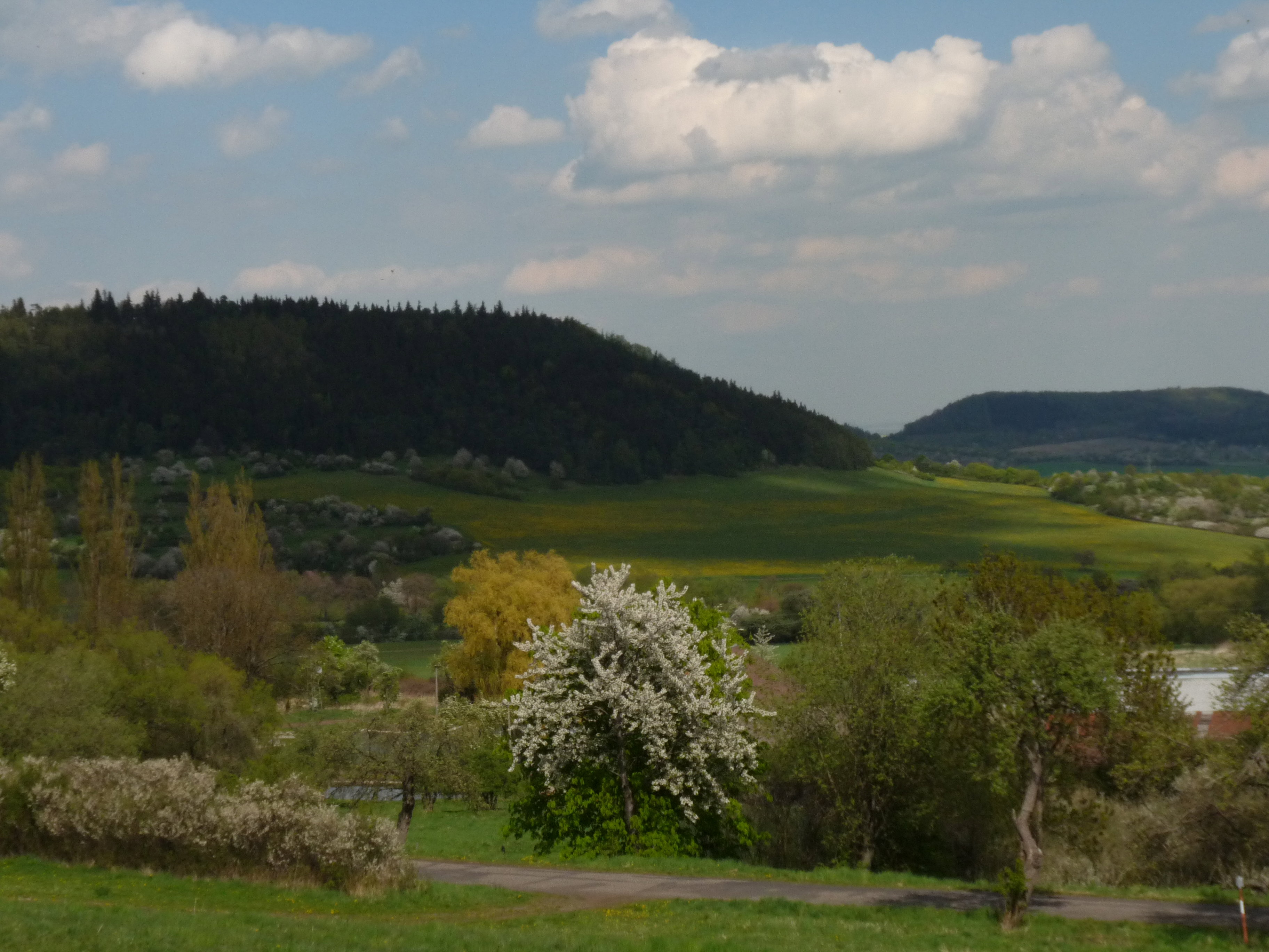 - image: 27