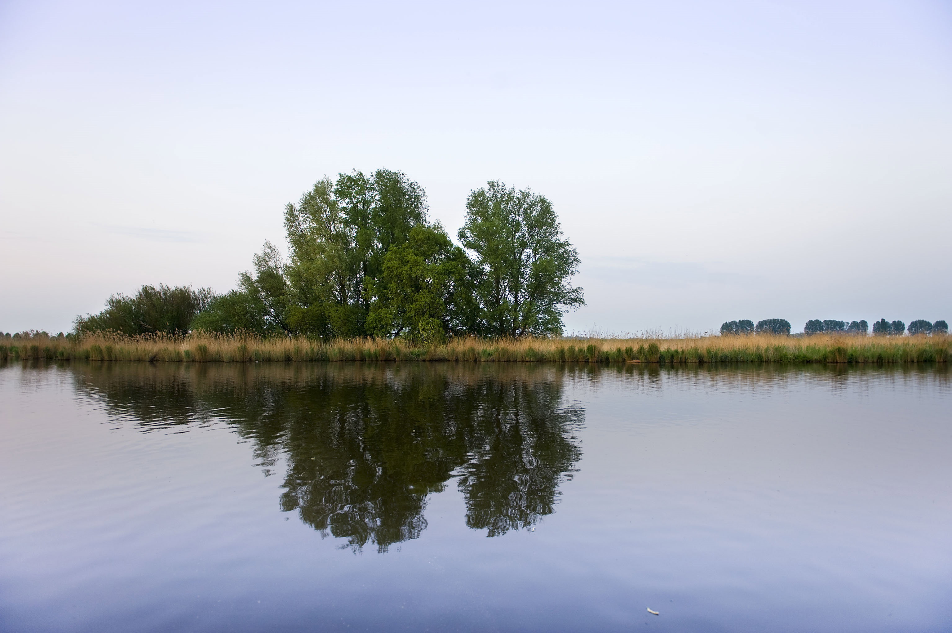 - image: 19