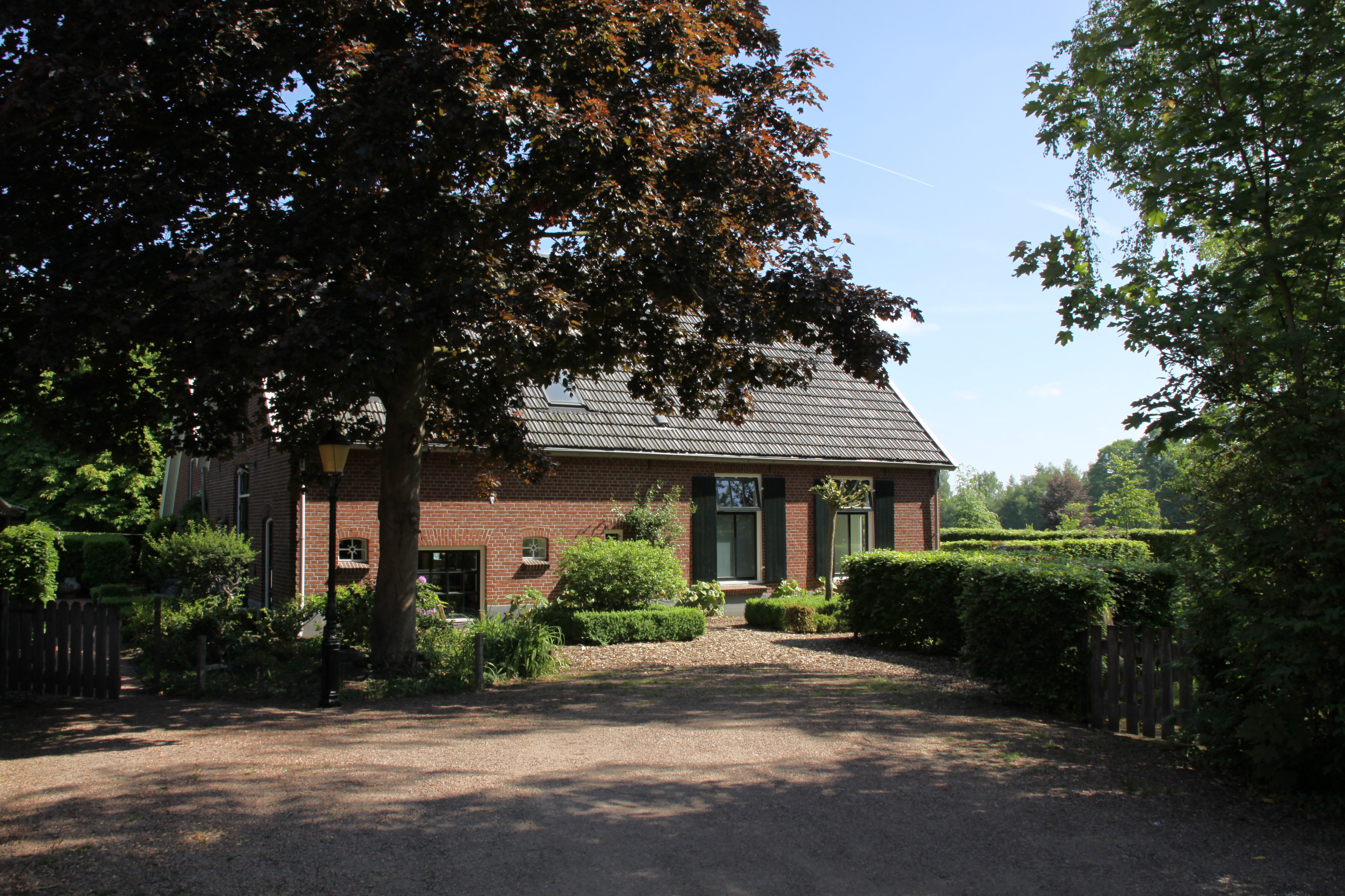 - image: 20