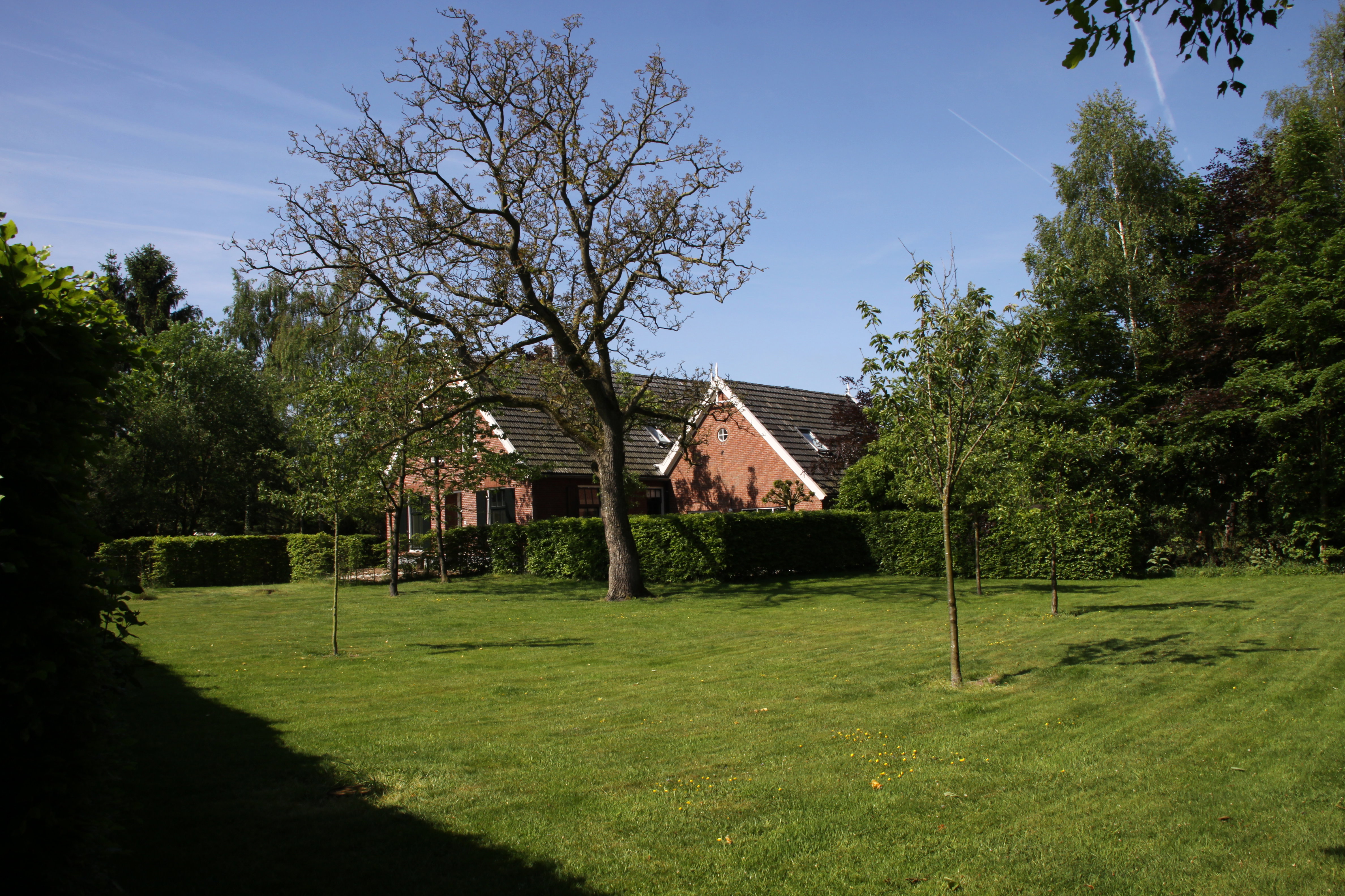 - image: 22