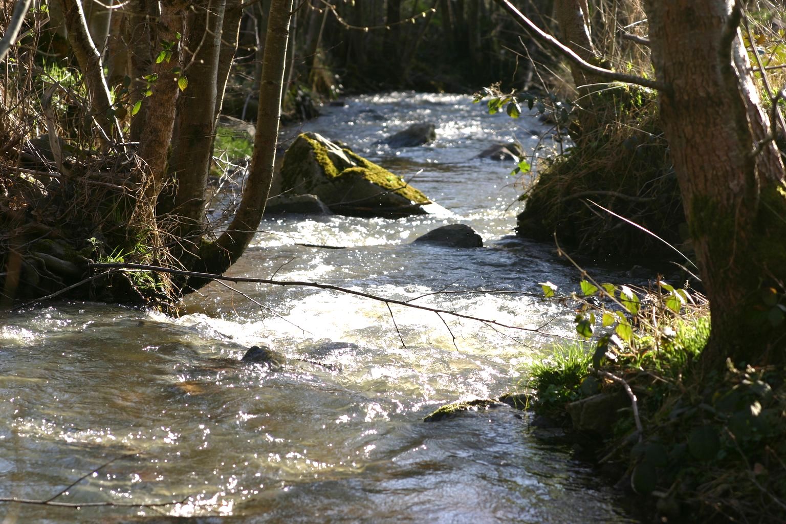 - image: 12