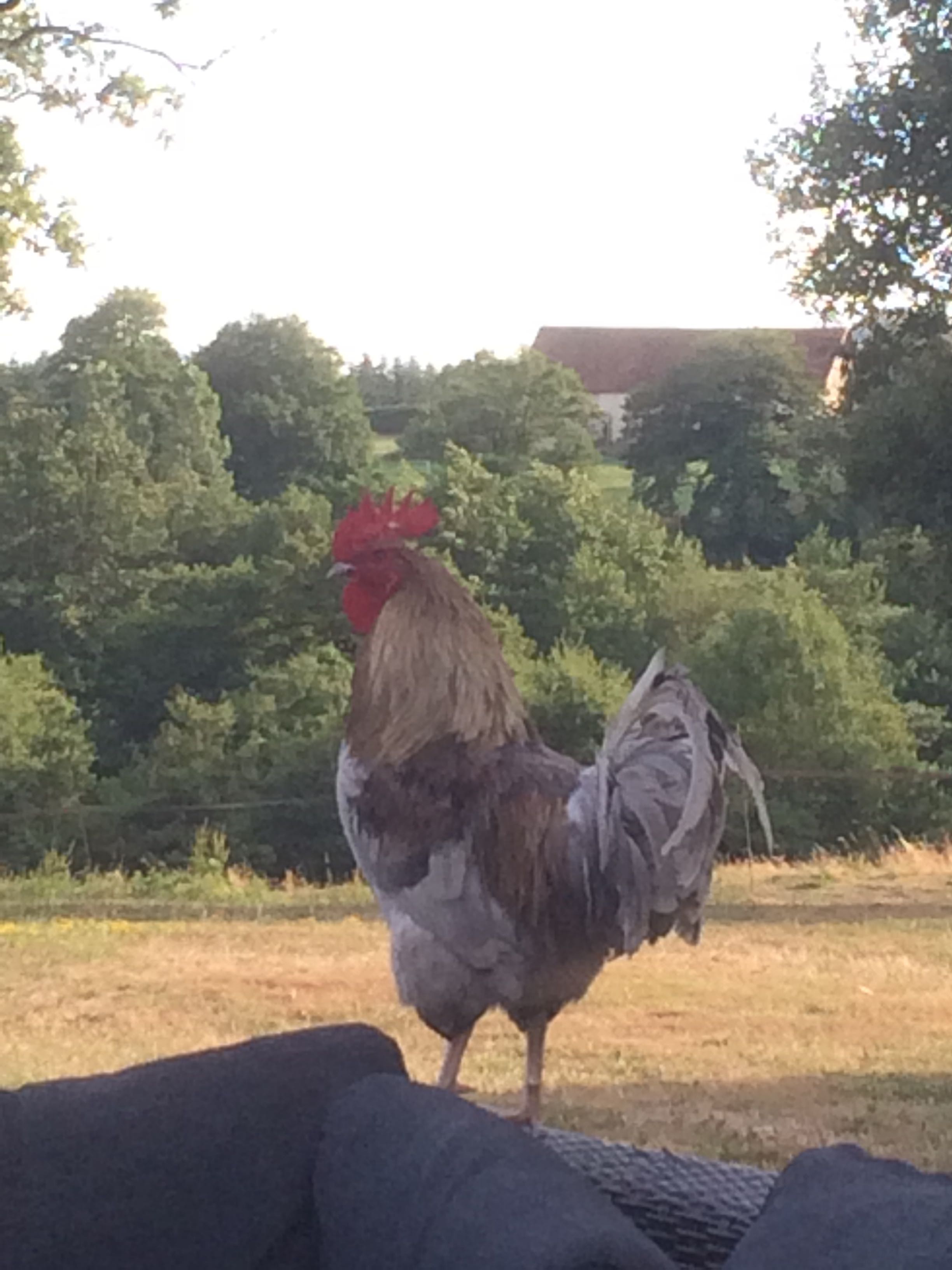 Naturhäuschen in Malleret-Boussac