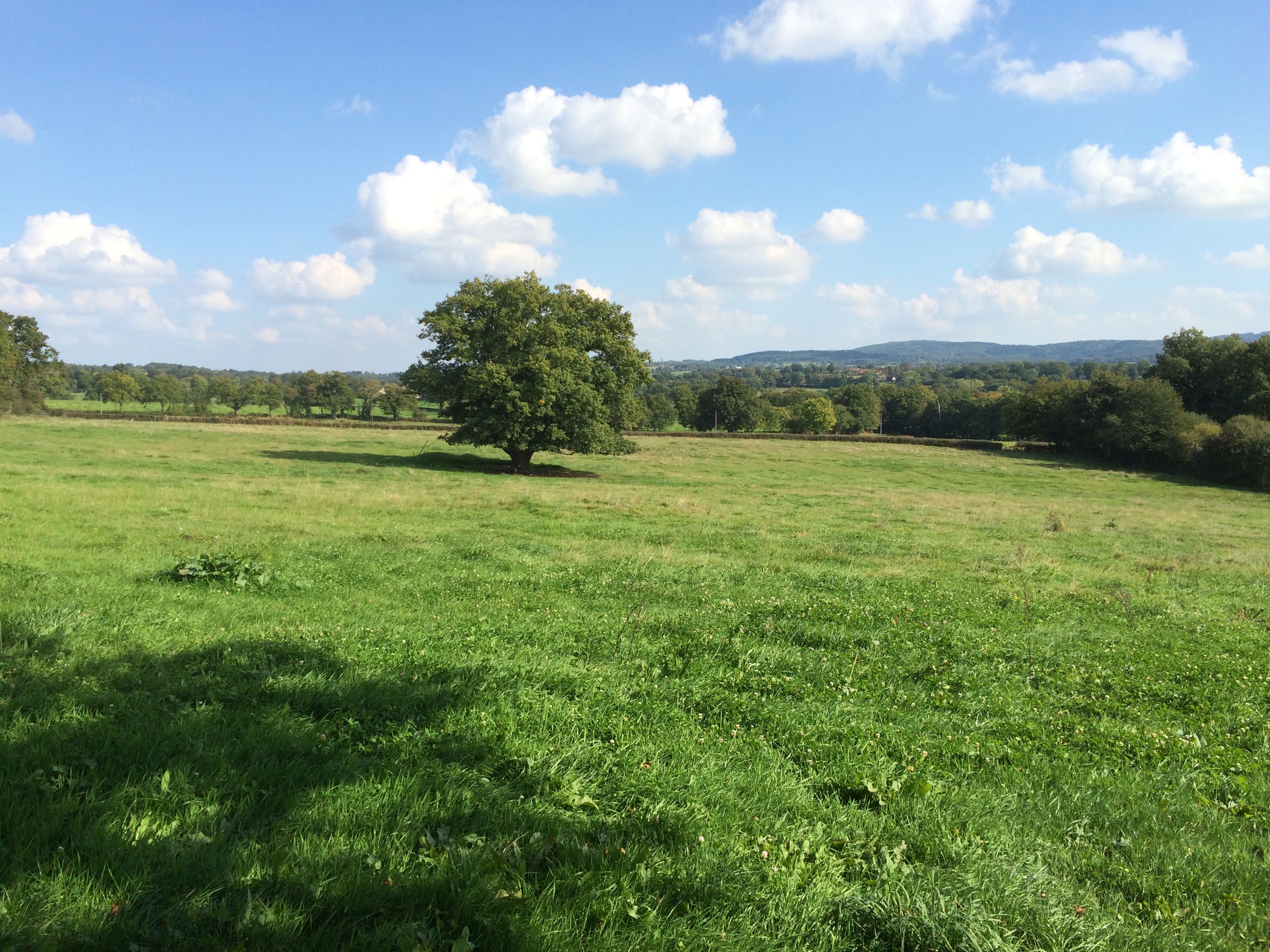 Naturhäuschen in Malleret-Boussac