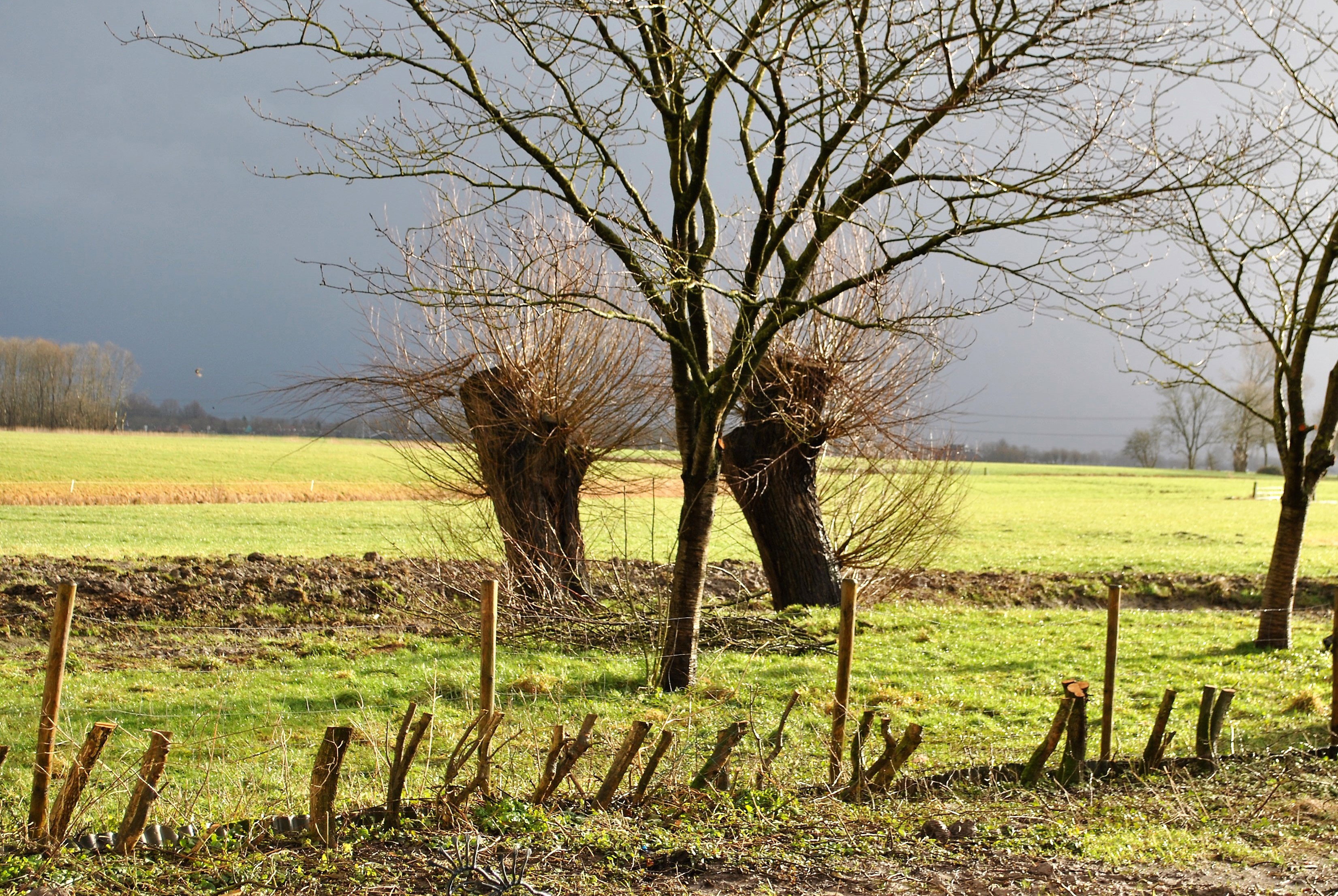 Maison nature à Garnwerd