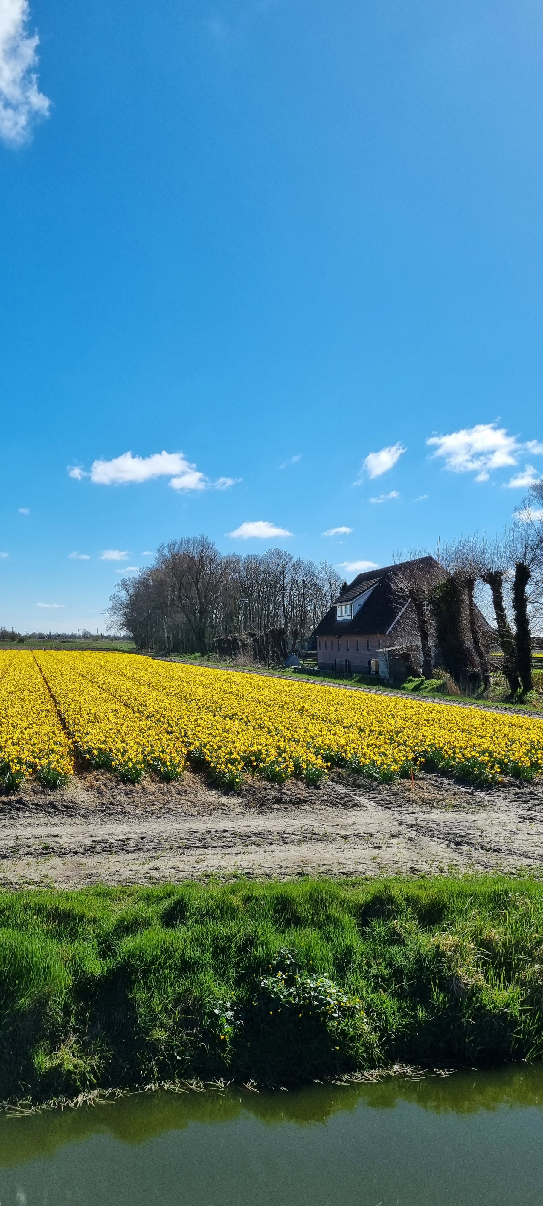Maison nature à 't Zand