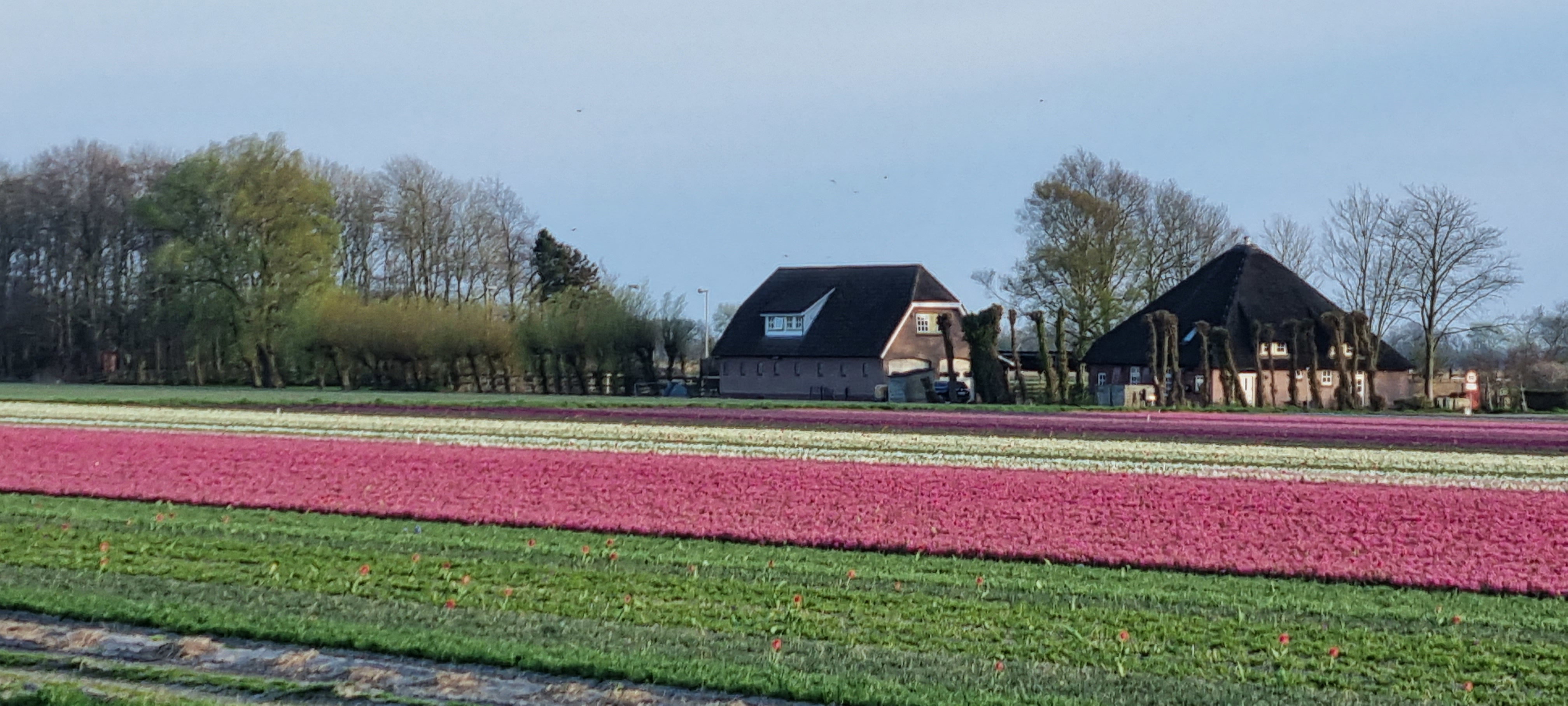 Maison nature à 't Zand