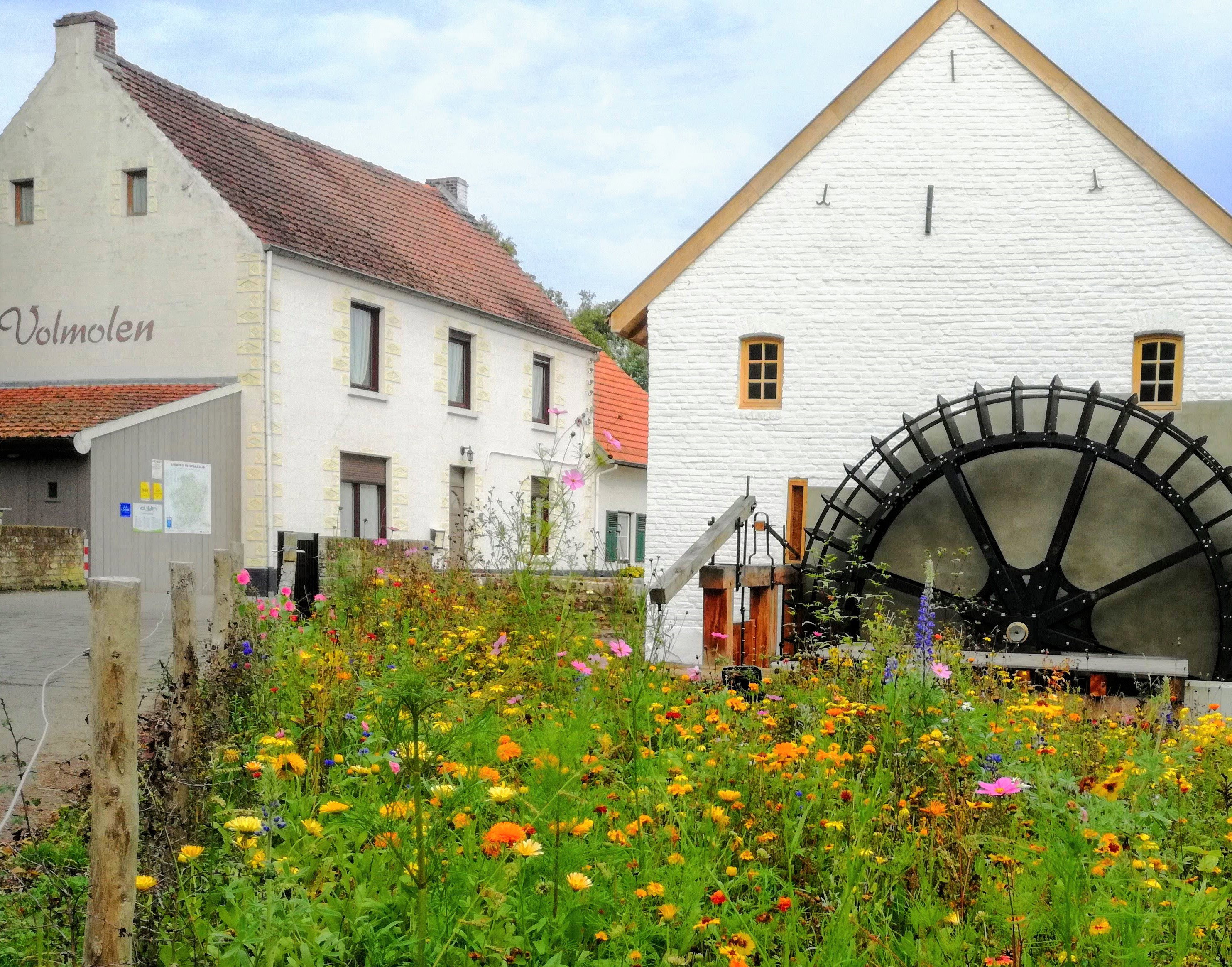 Maison nature à Maaseik