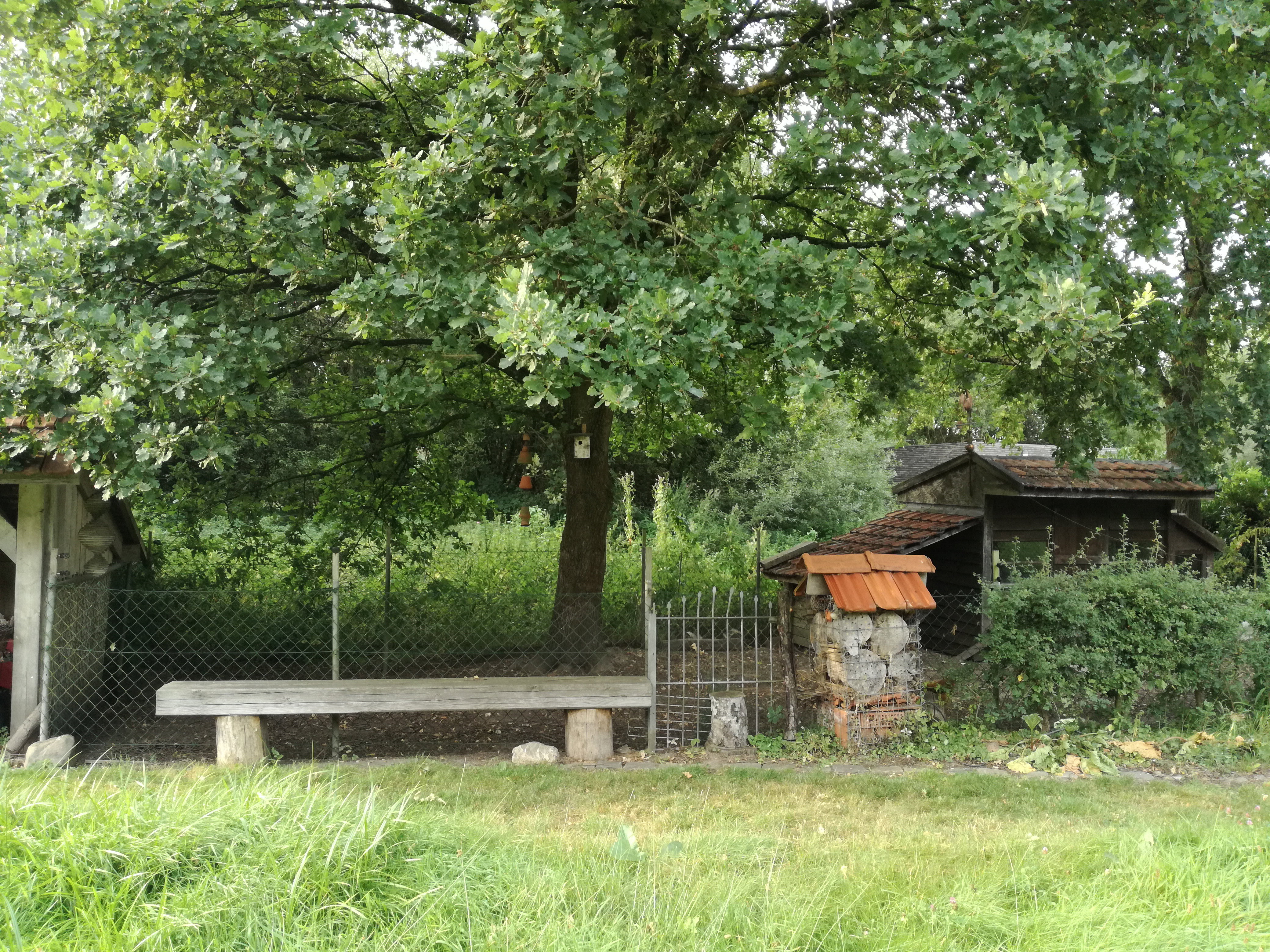 - image: 22