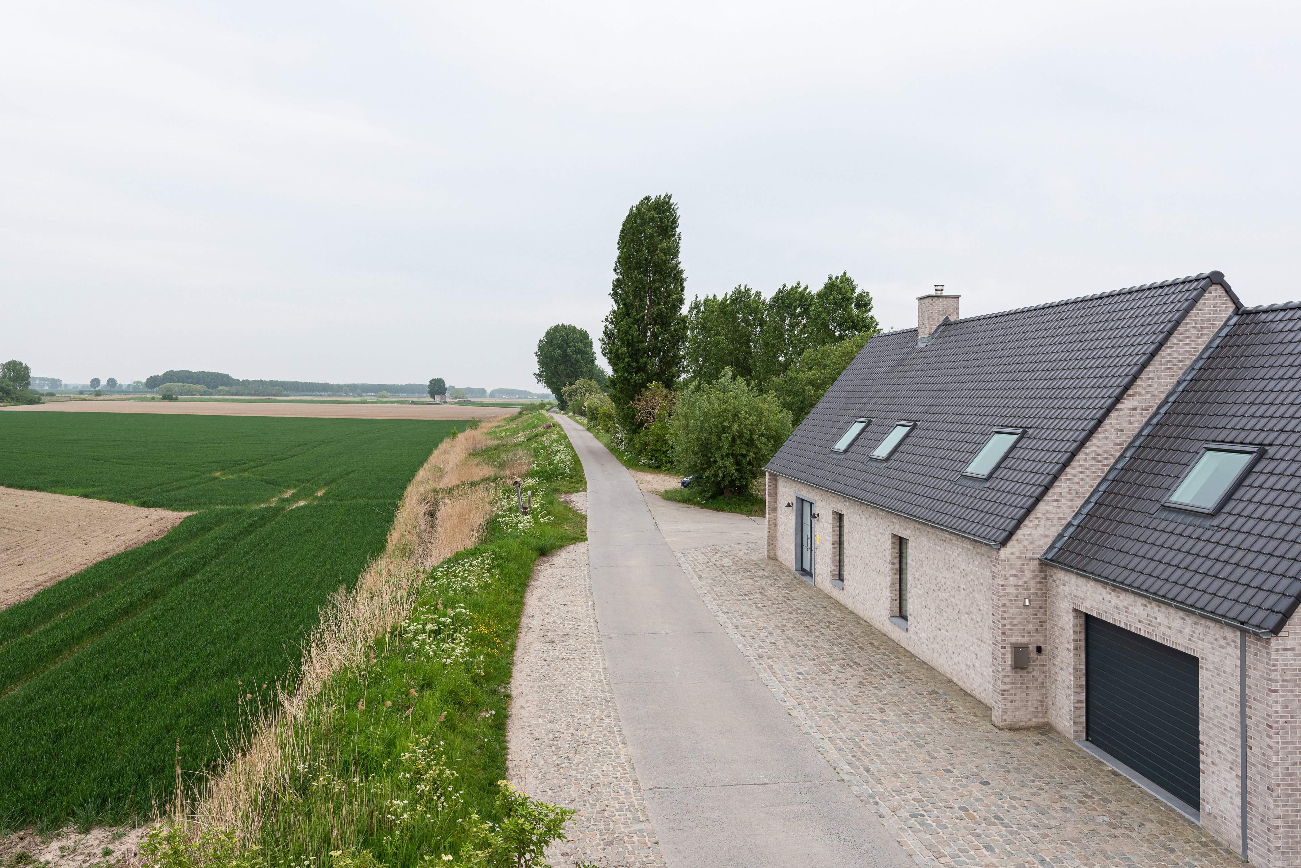 - image: 26