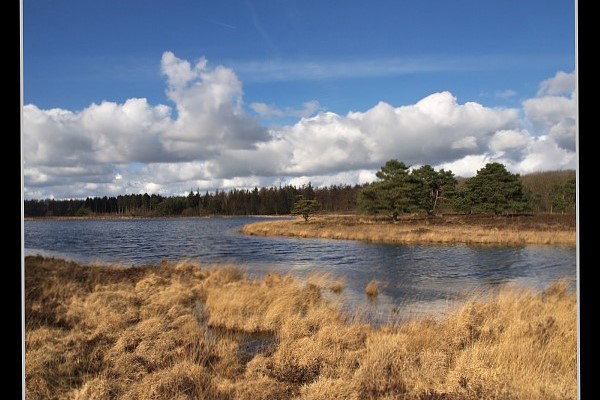 Natuurhuisje in Wateren (Westerveld)