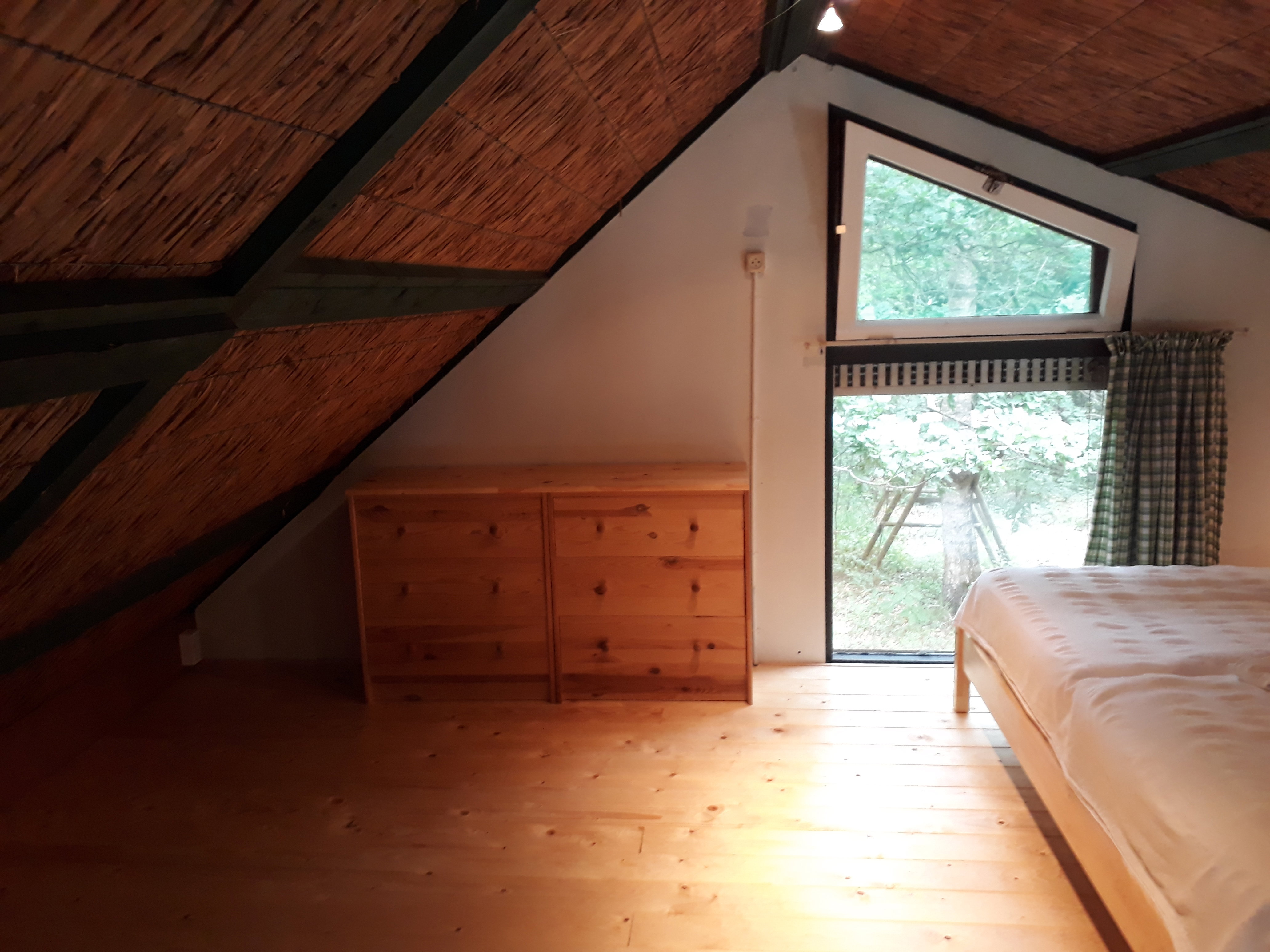Maison nature à Diepenheim