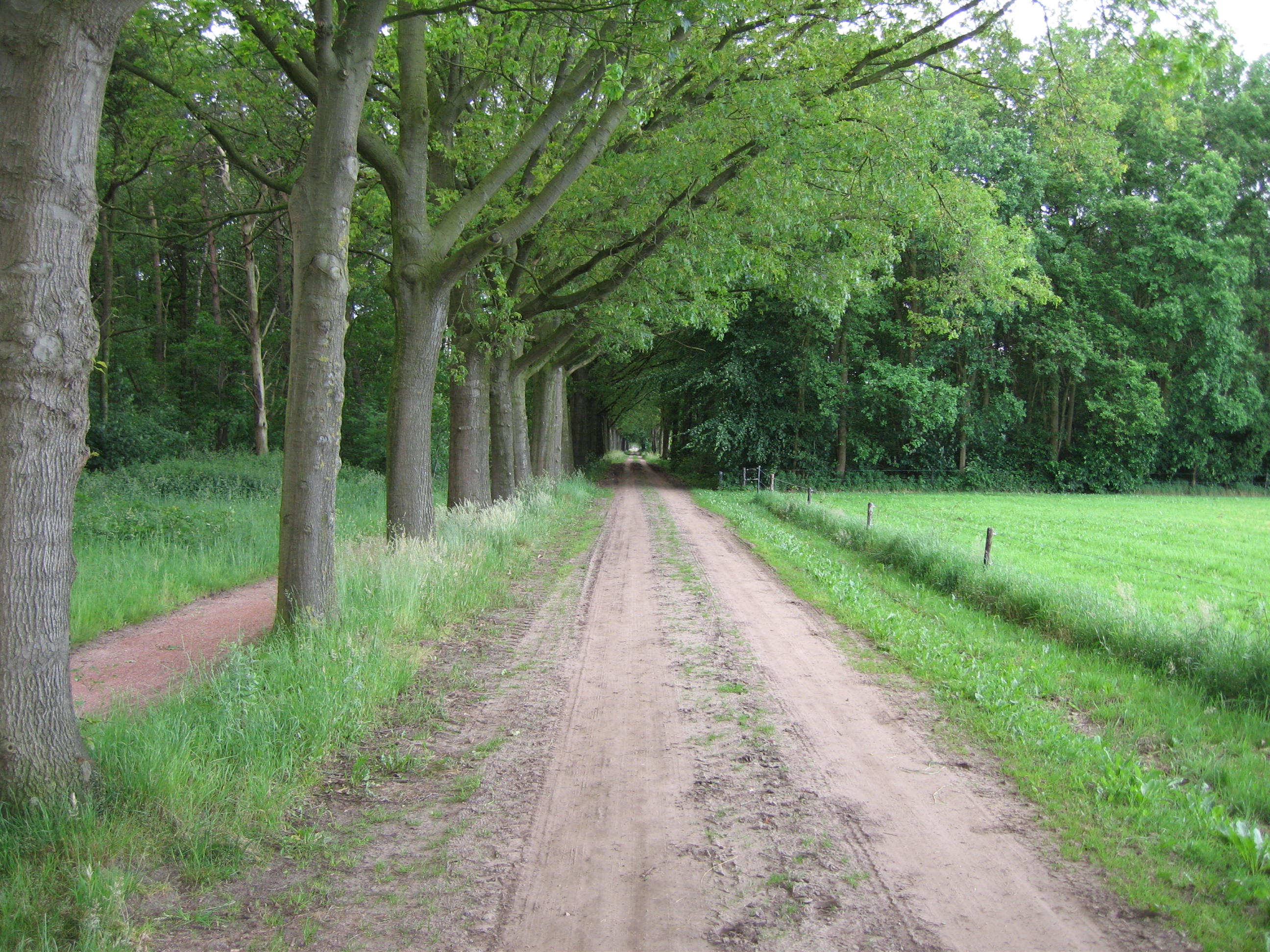 - image: 15