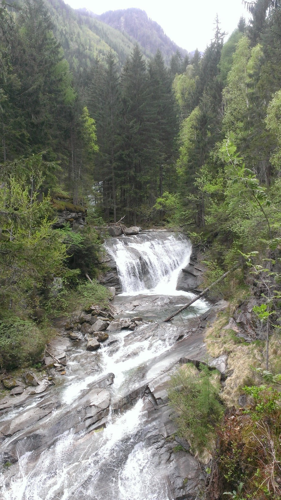 Natuurhuisje in Starfach