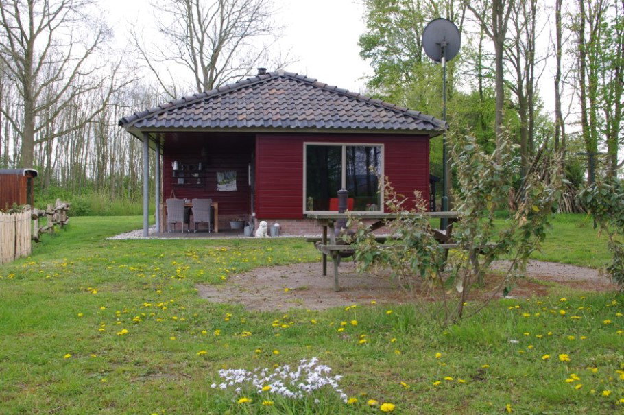 - image: 1