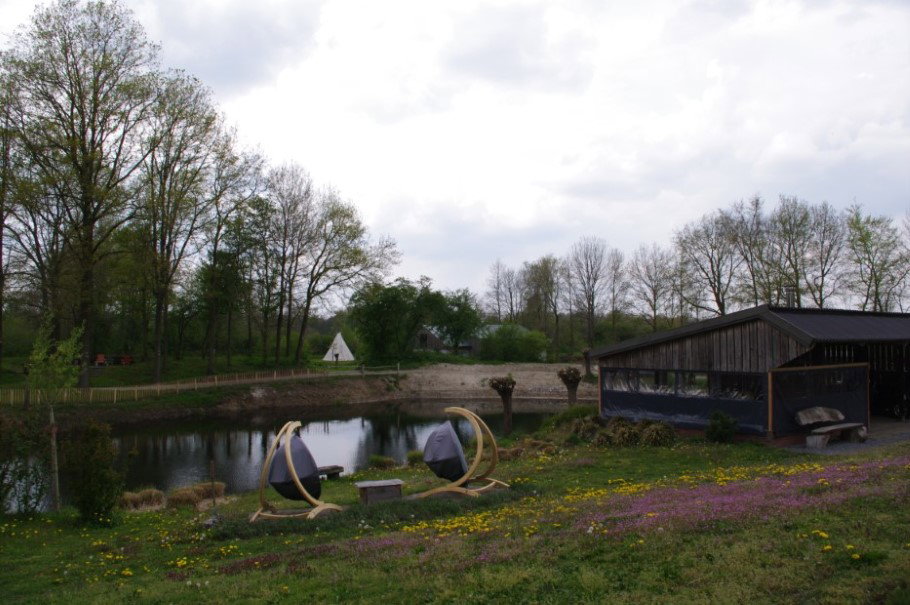 - image: 23