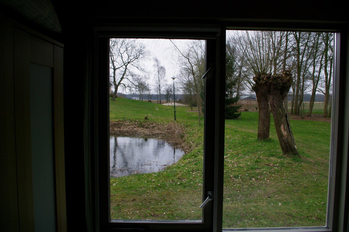 - image: 11