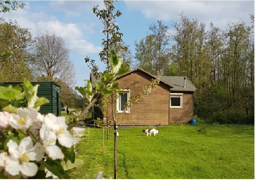 Maison nature à Ankeveen