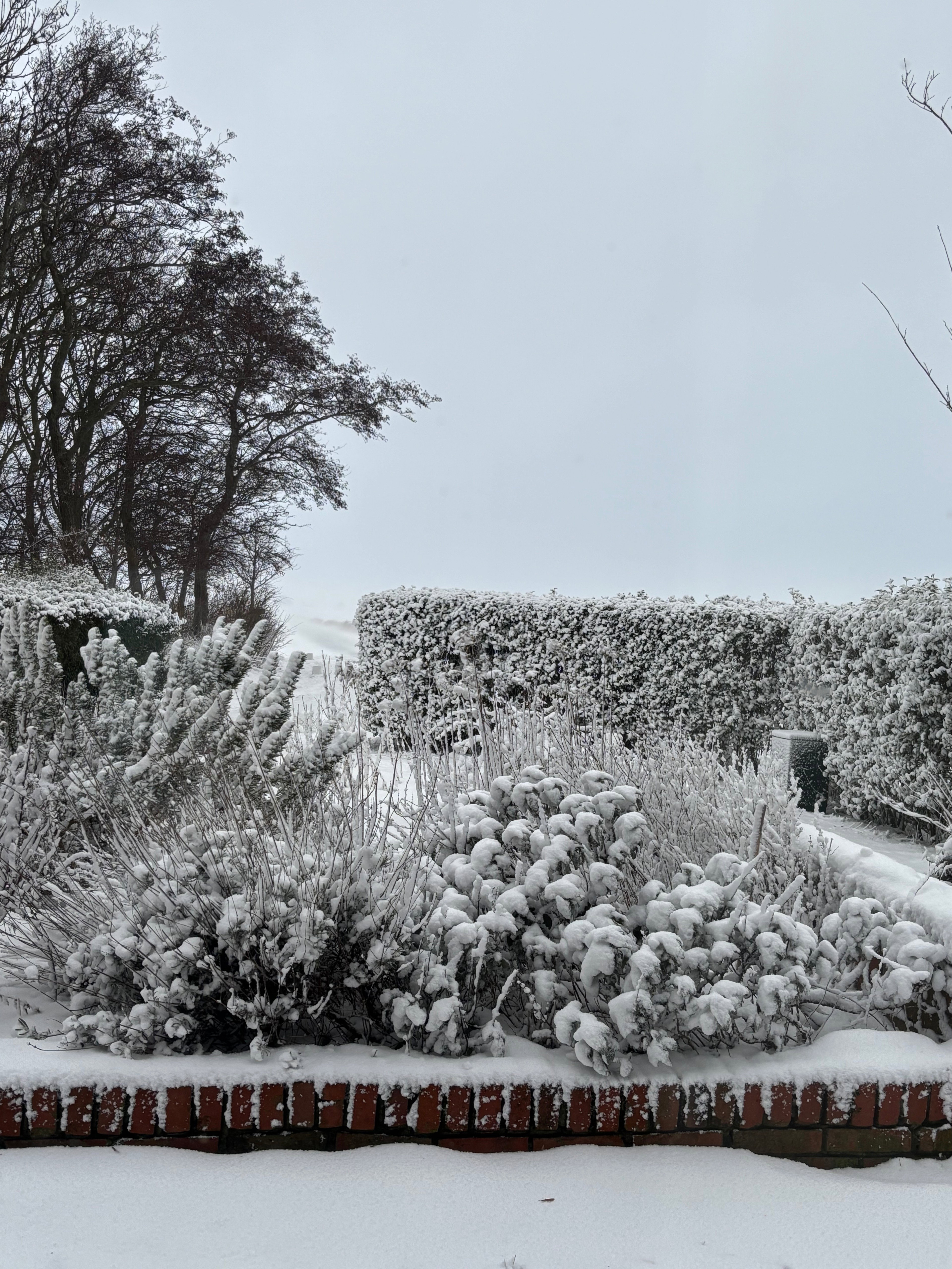 Natuurhuisje in Usquert