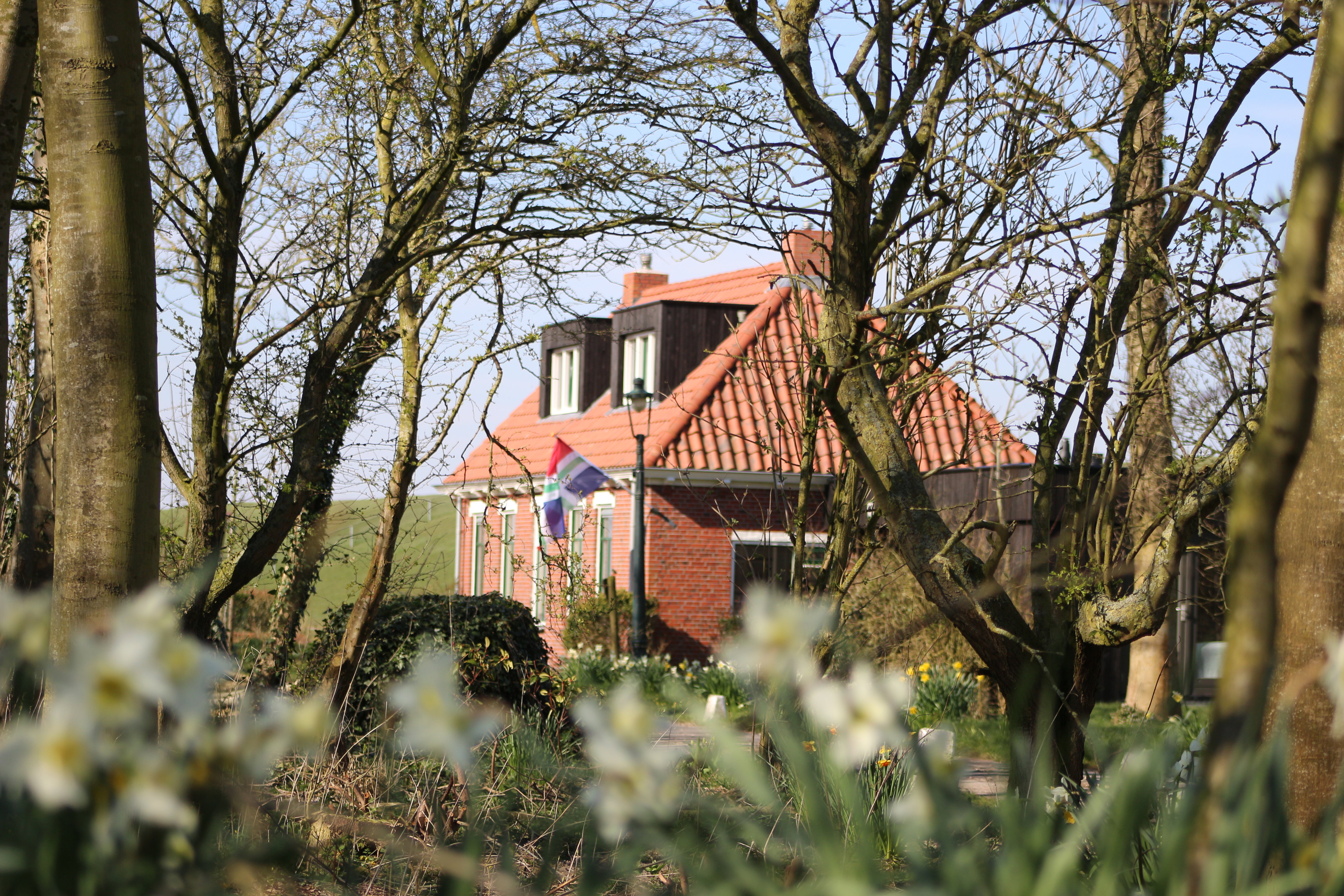 Natuurhuisje in Usquert