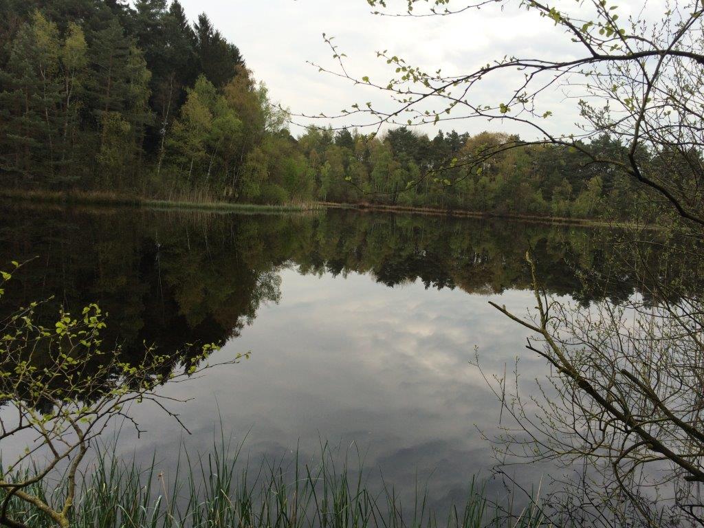 - image: 21