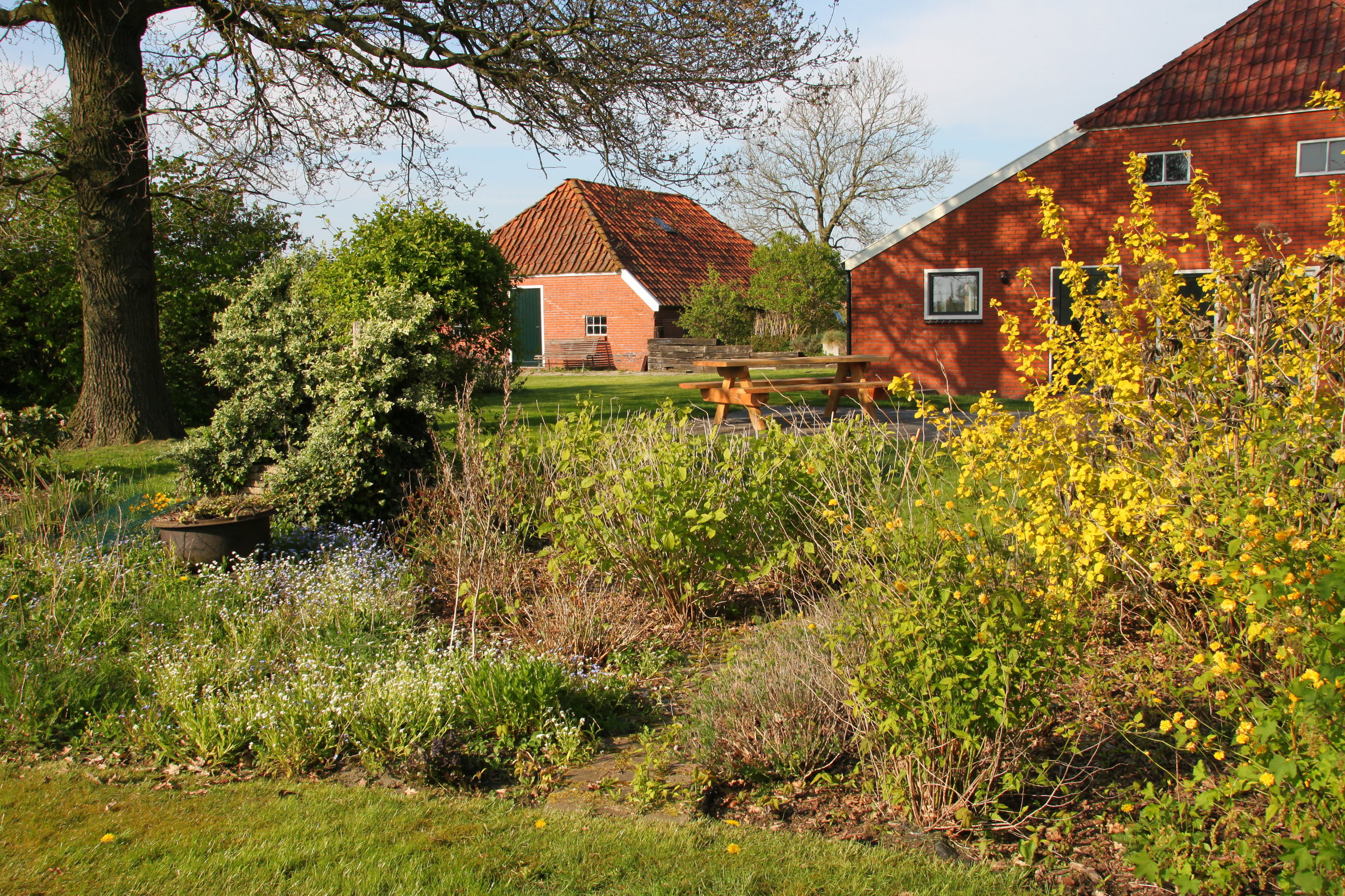 Naturhäuschen in Mussel
