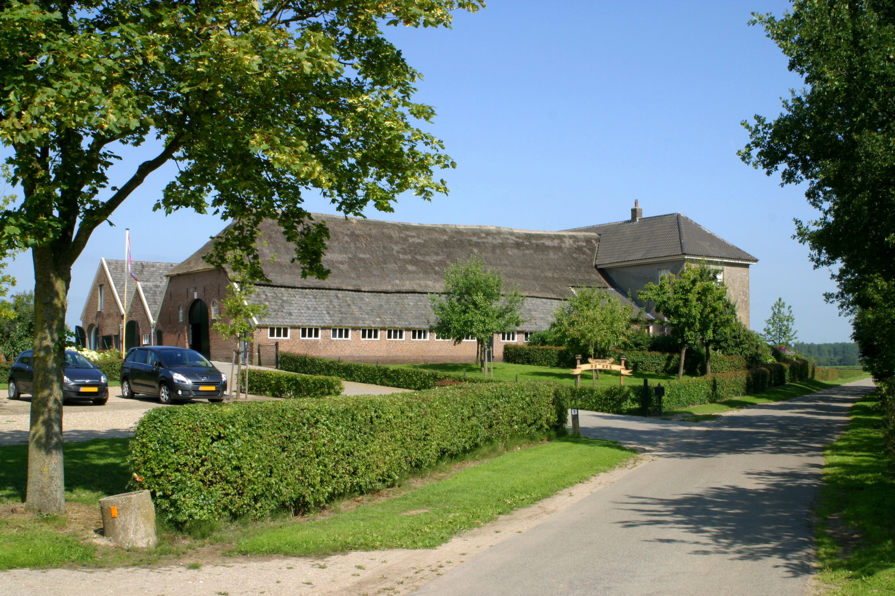 - image: 2