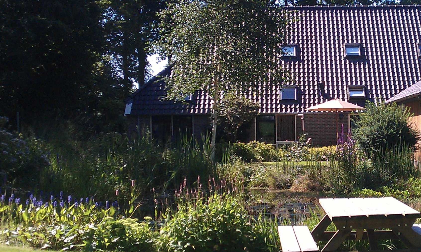Natuurhuisje in Dwingeloo