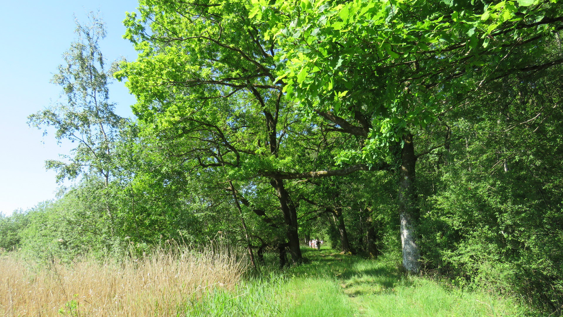 Naturhäuschen in Giffaumont-Champaubert