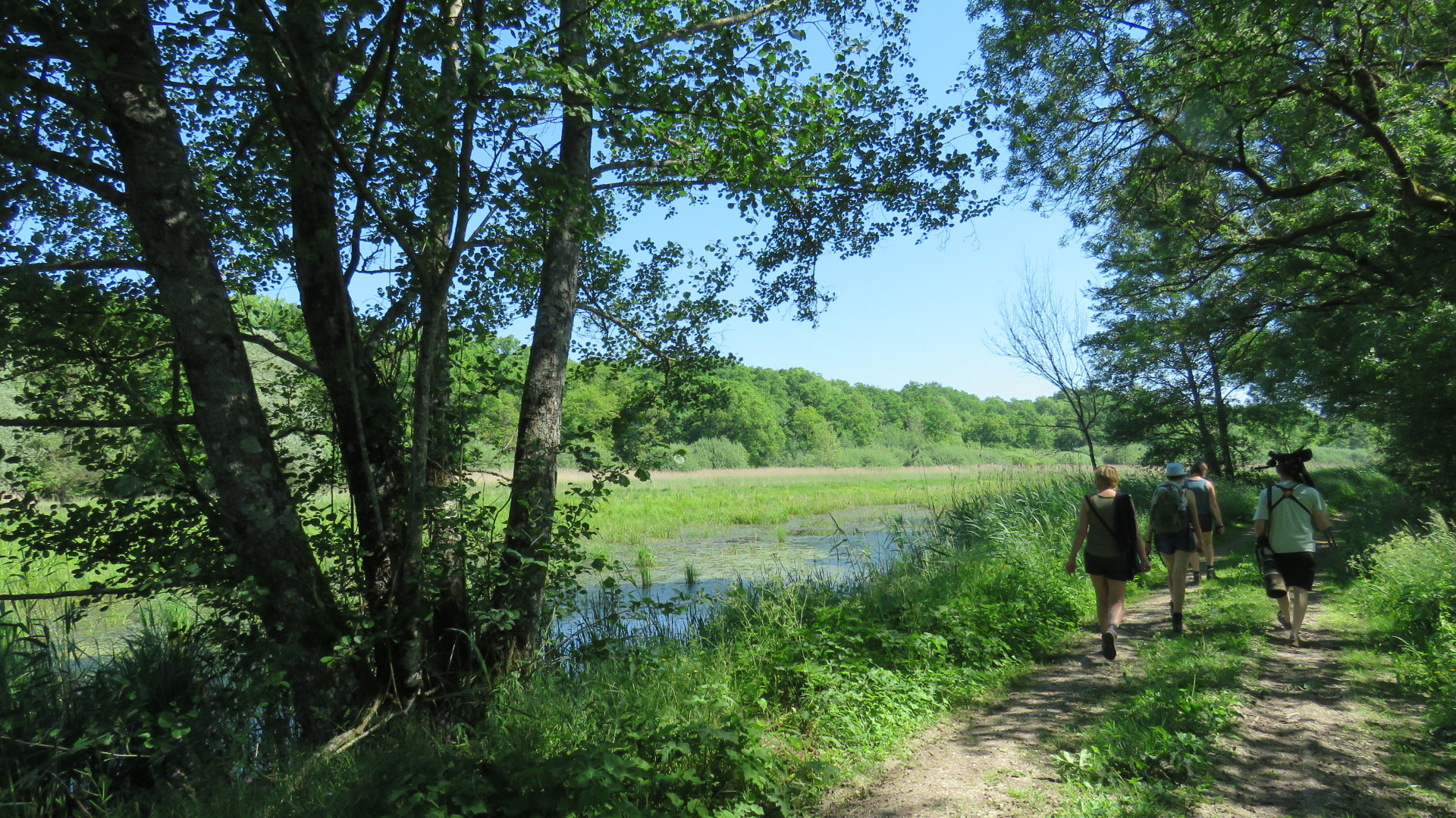 Naturhäuschen in Giffaumont-Champaubert