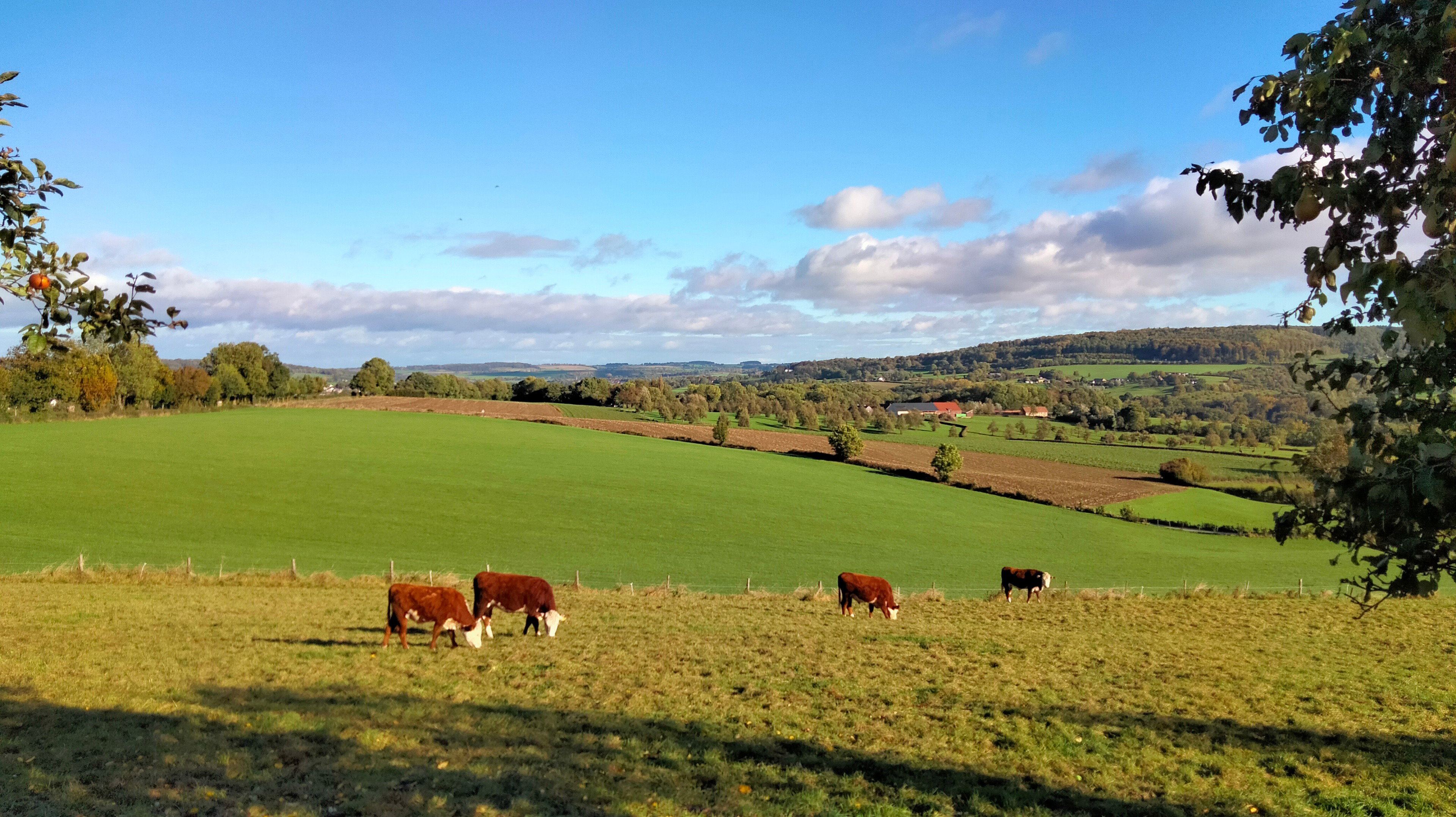 Naturhäuschen in Epen
