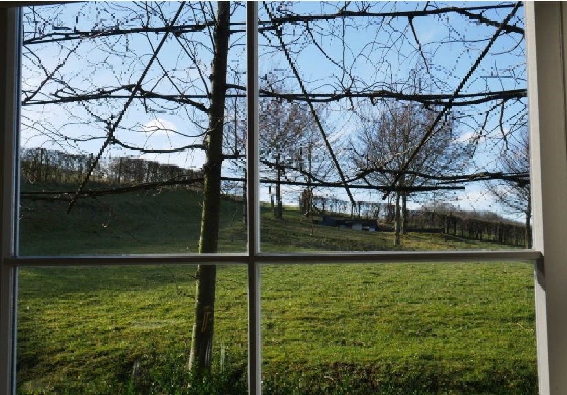 Naturhäuschen in Wijlre