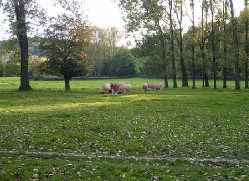Naturhäuschen in Wijlre