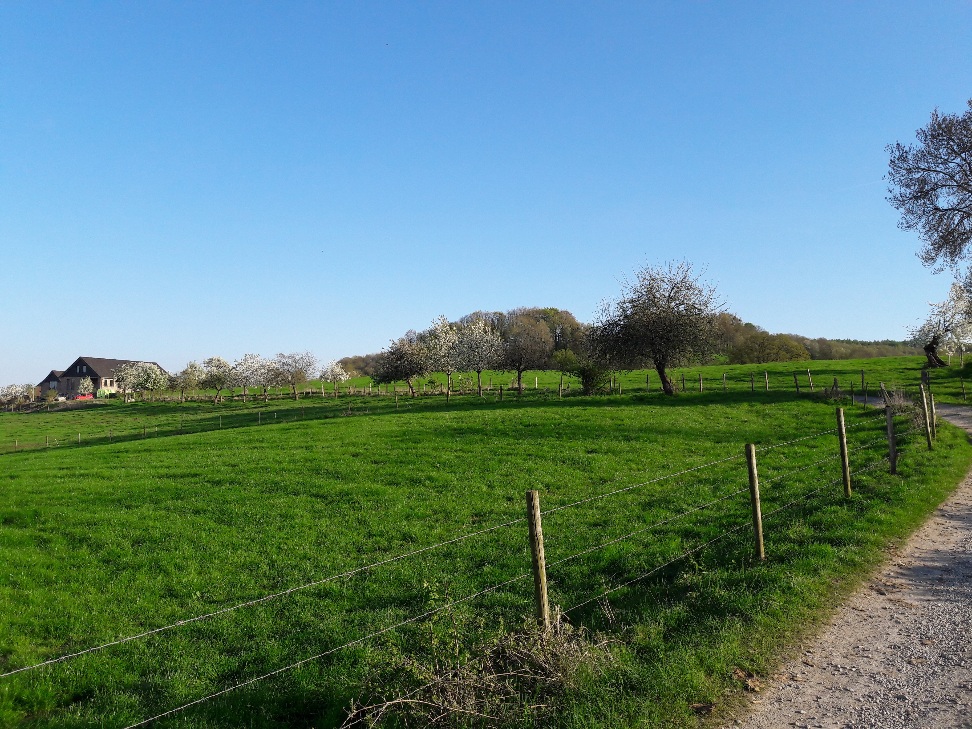 Naturhäuschen in Epen
