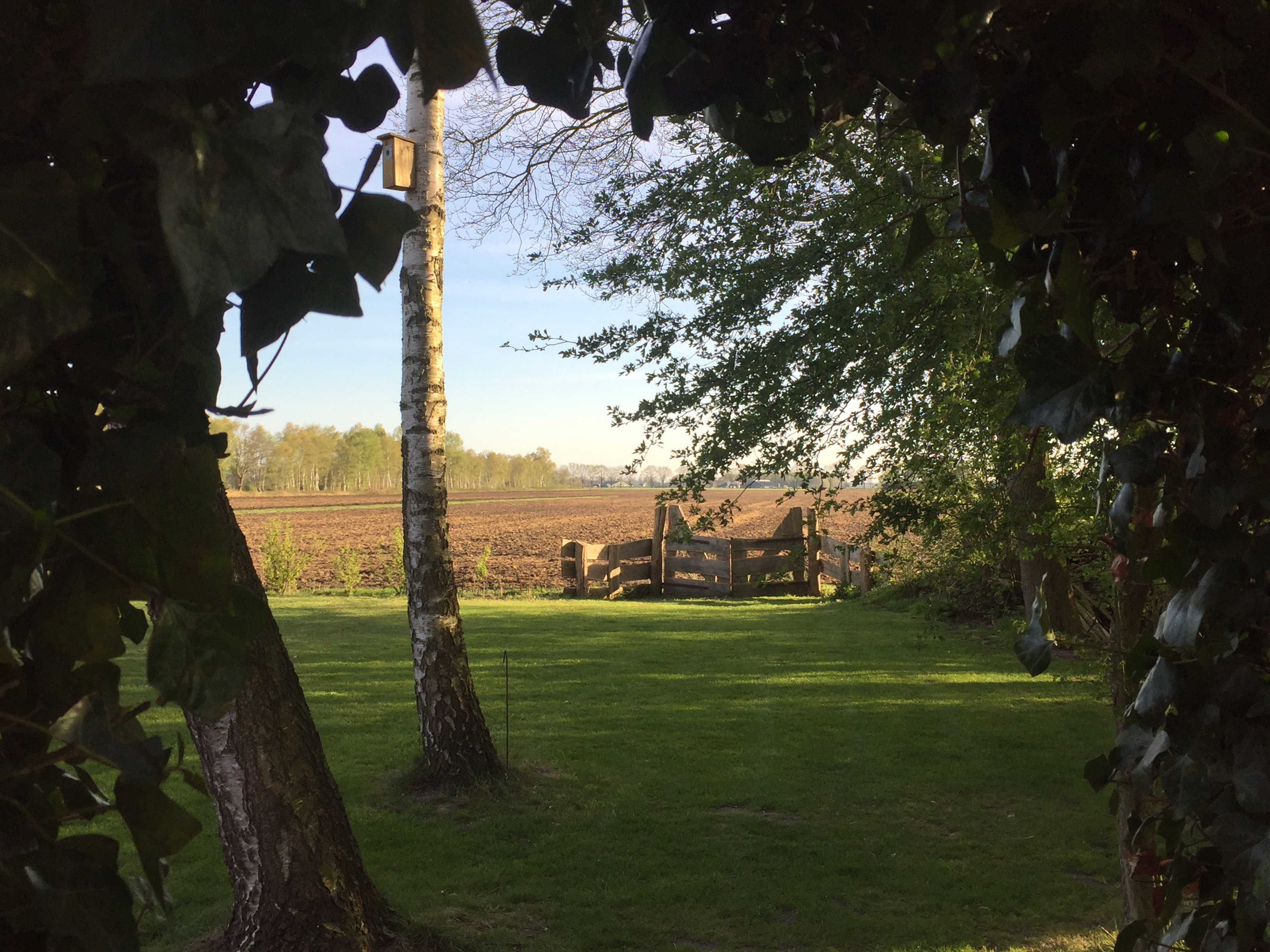 Naturhäuschen in Bruchterveld