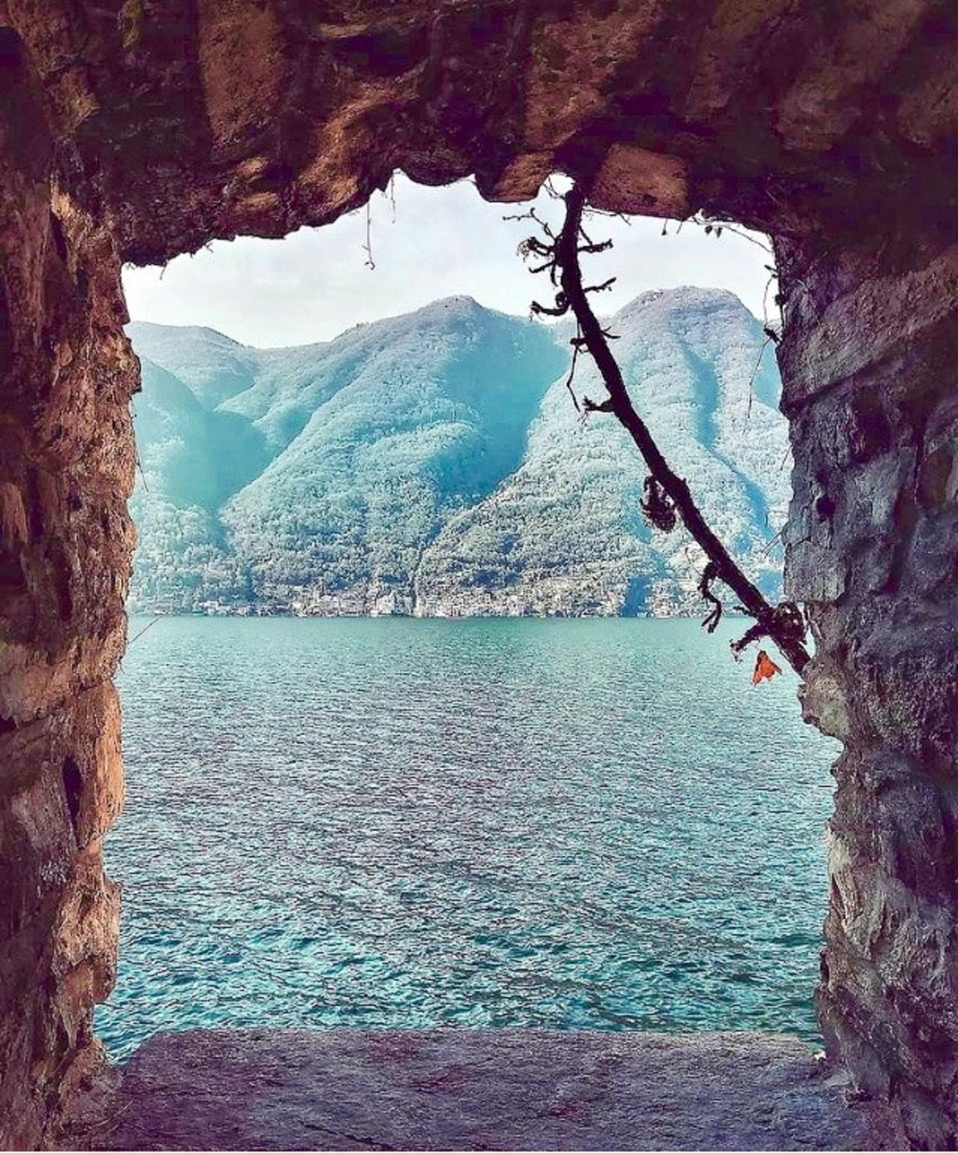 - image: 43