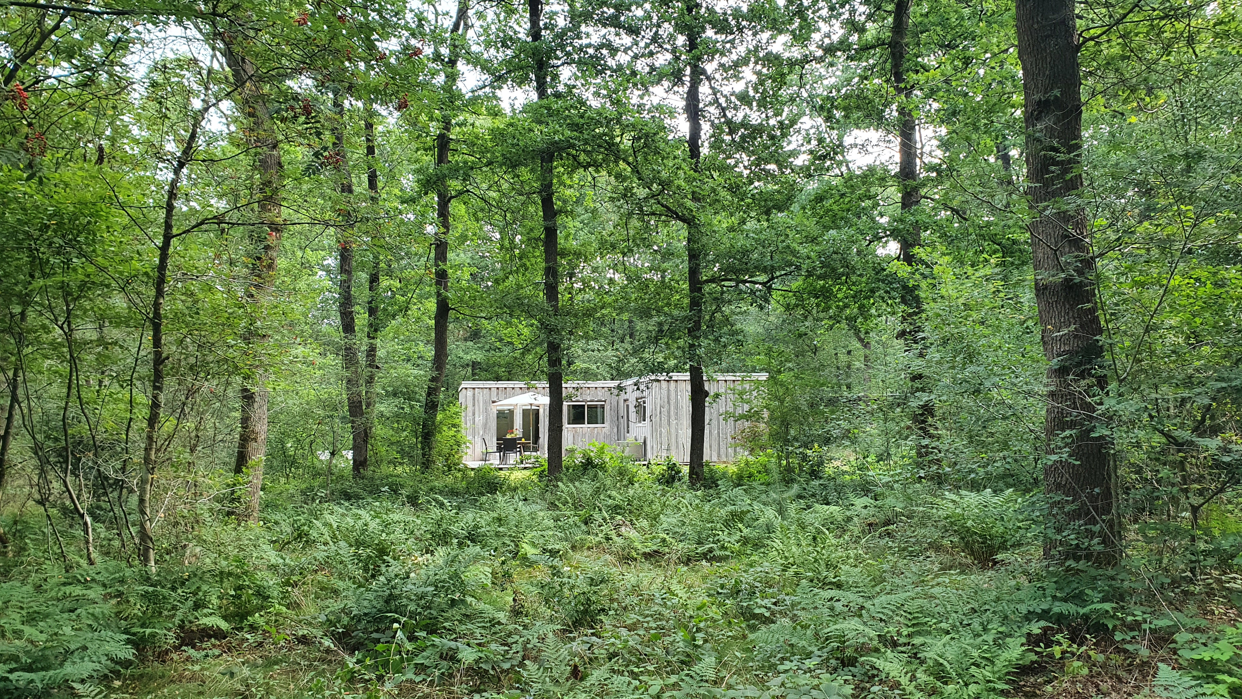Naturhäuschen in Norg