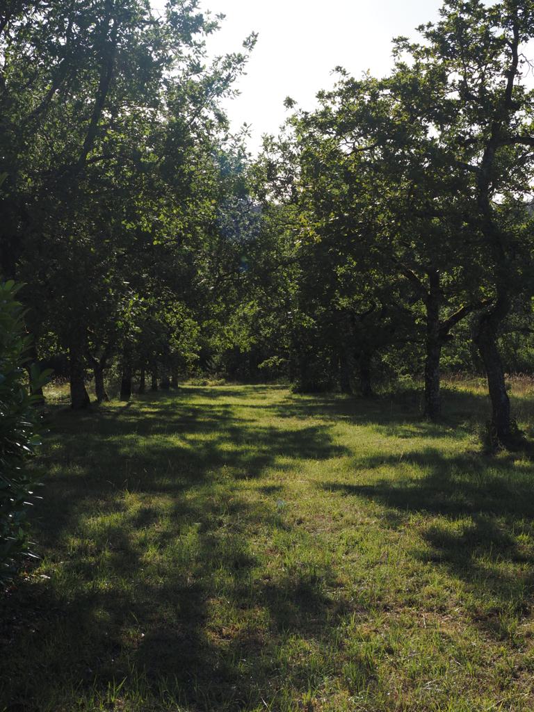 Casa nella natura a Salignac-Eyvigues