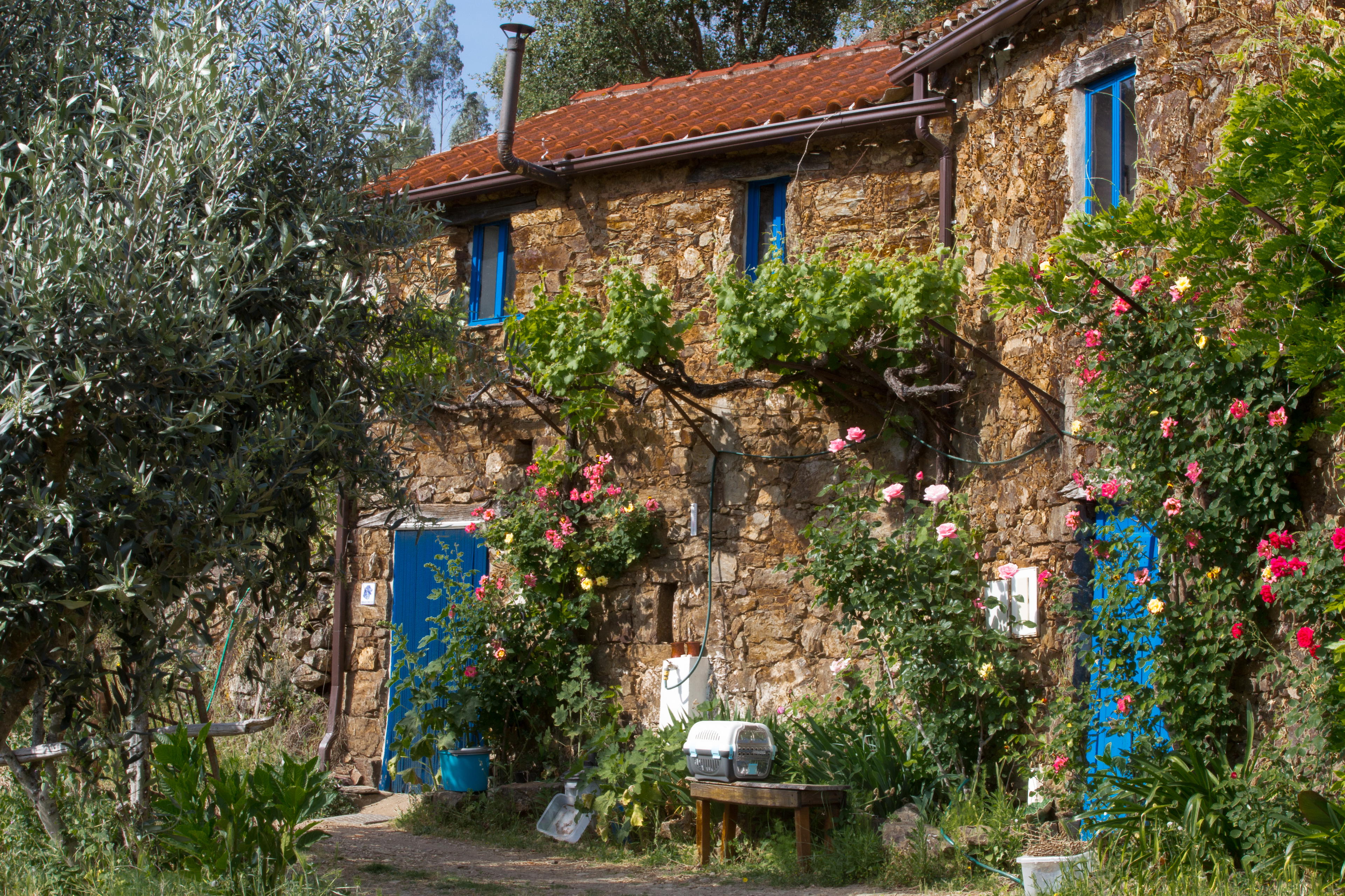 Nature house in Figueiró dos Vinhos
