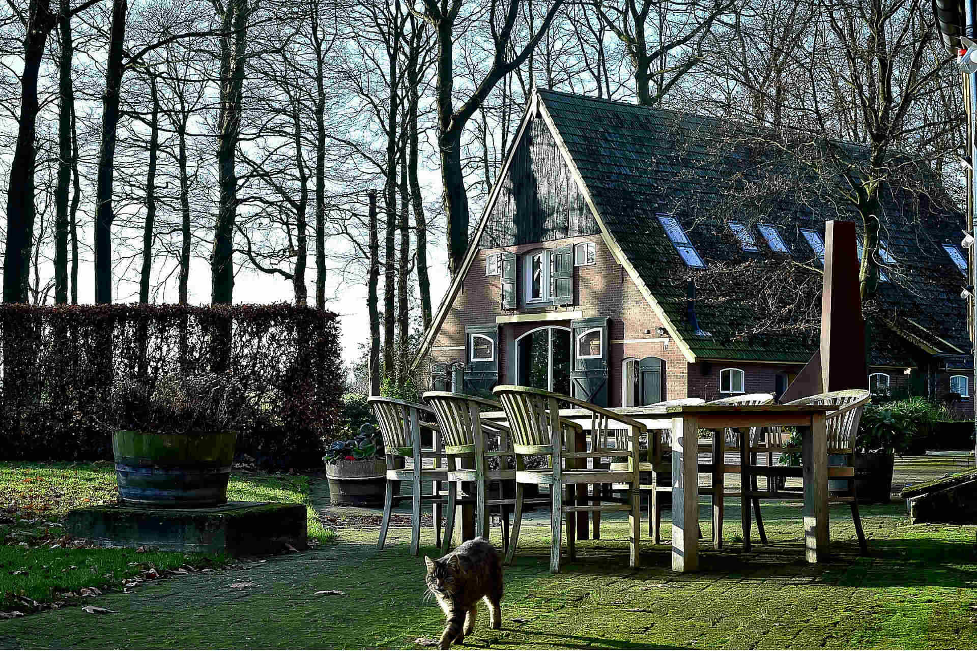 Maison nature à Diepenheim