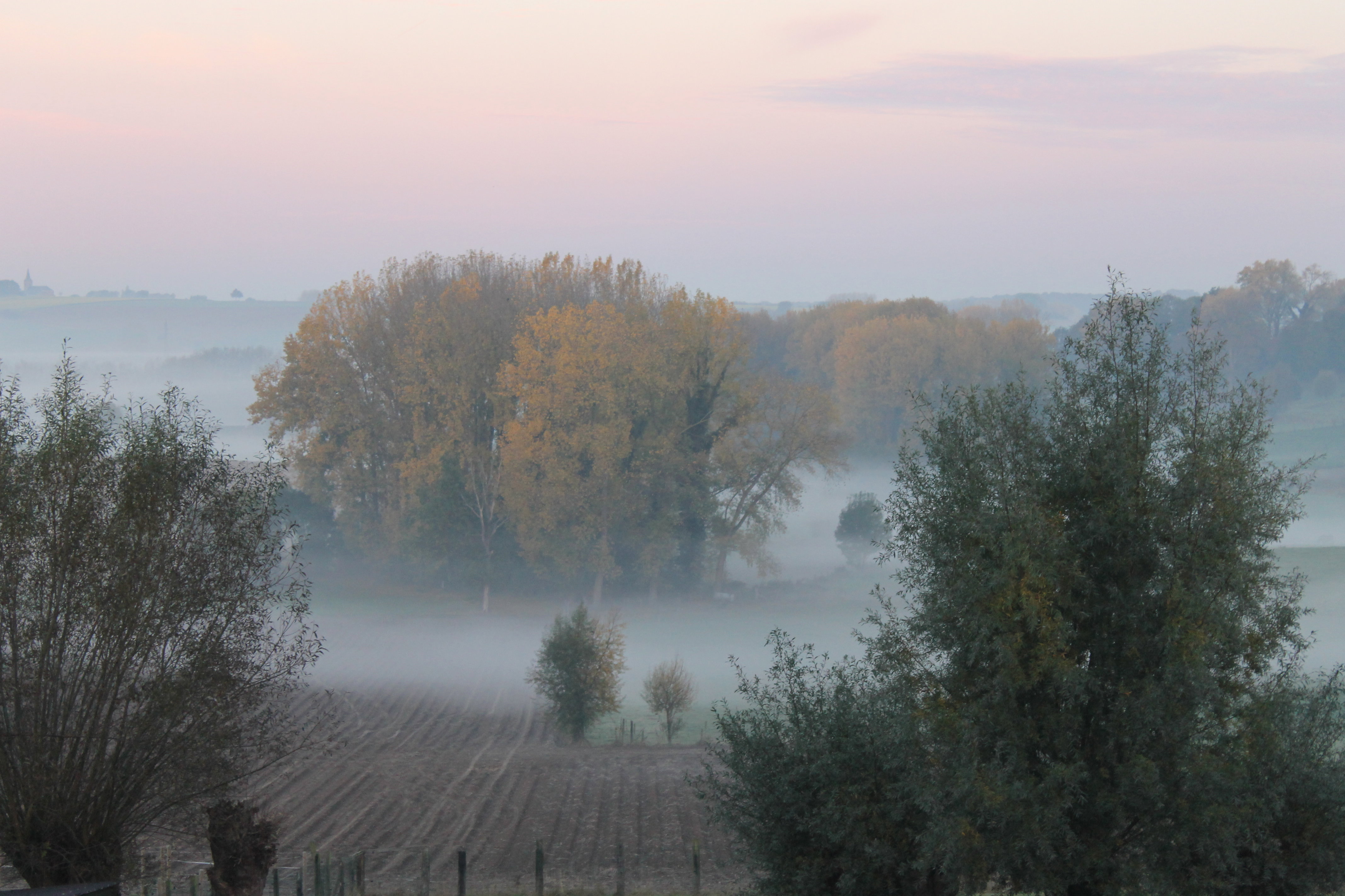 - image: 27