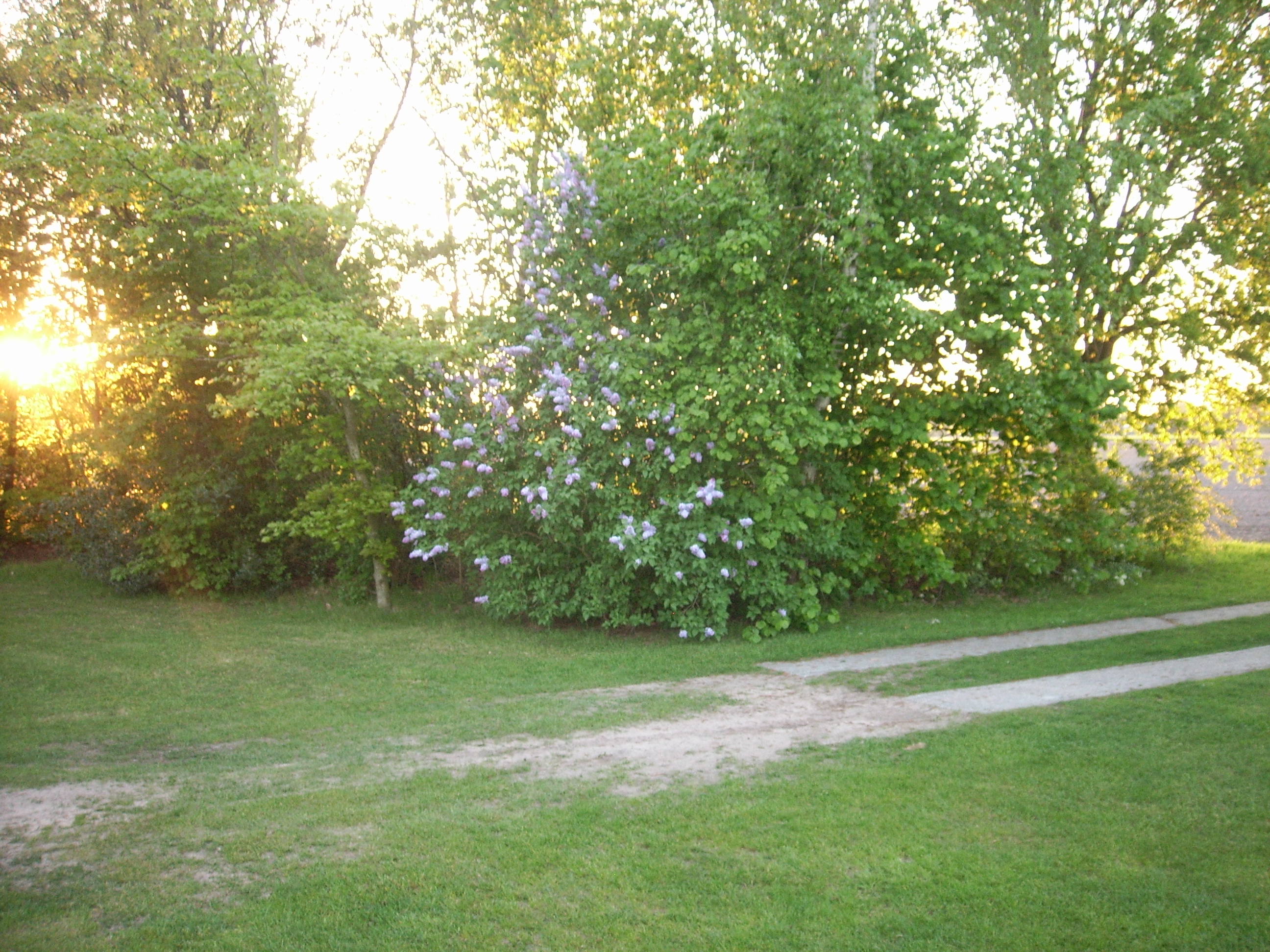 - image: 14