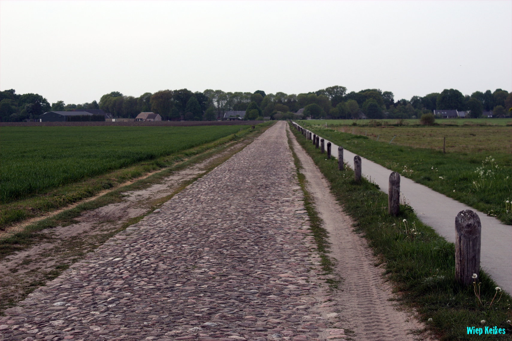- image: 16