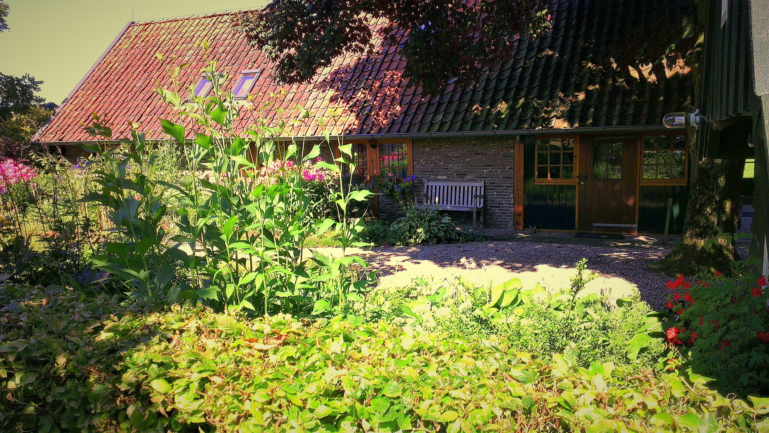 - image: 13