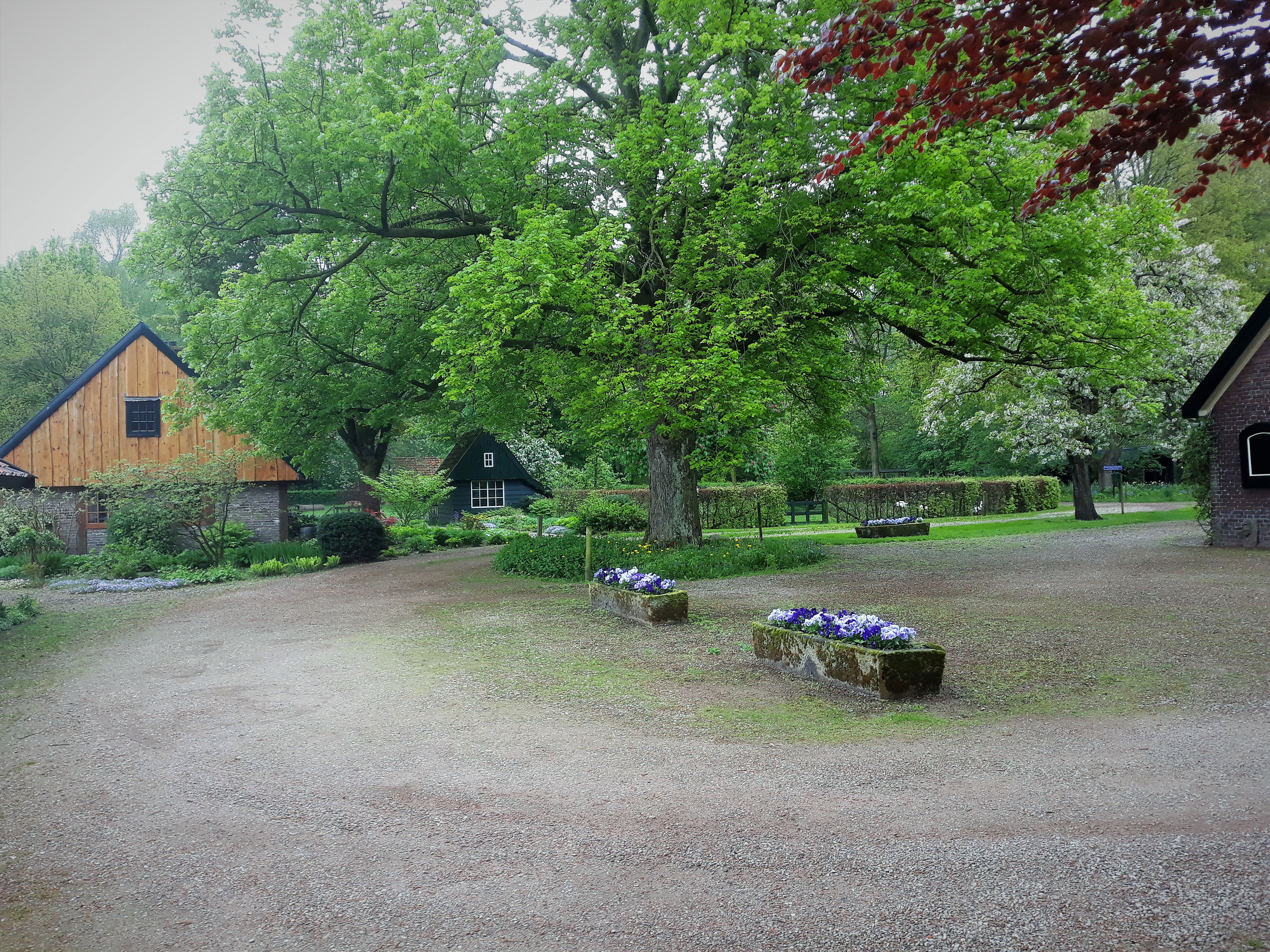 - image: 16