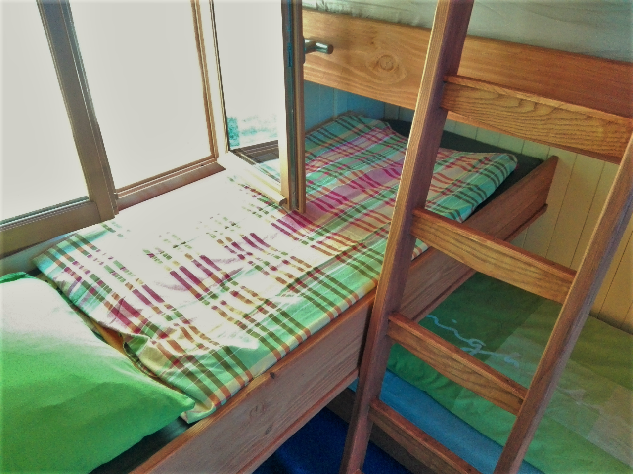 - image: 11