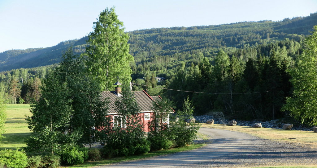 - image: 40